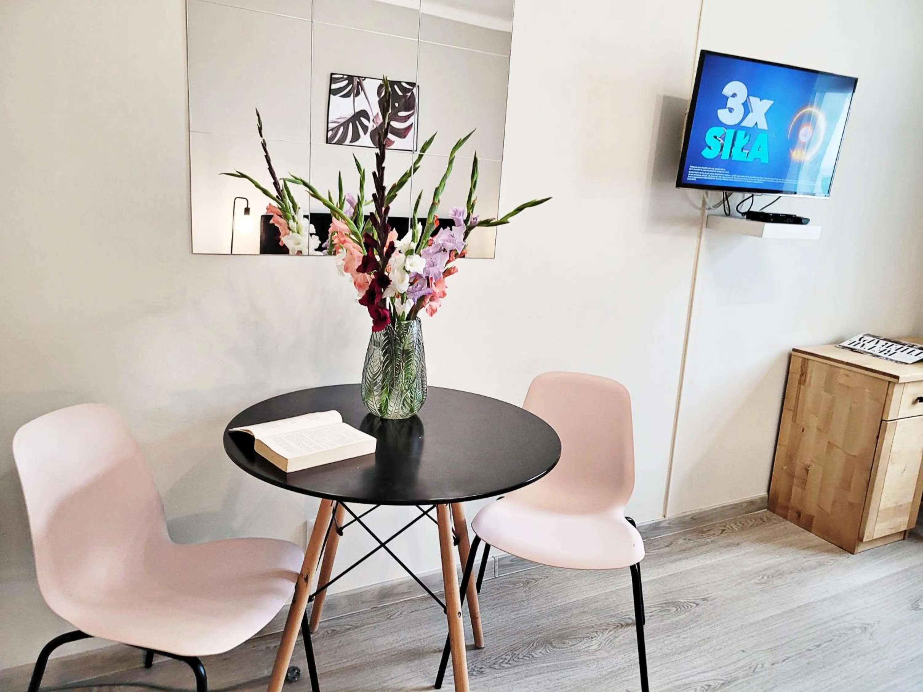 TV and multimedia in DReAM Main Station