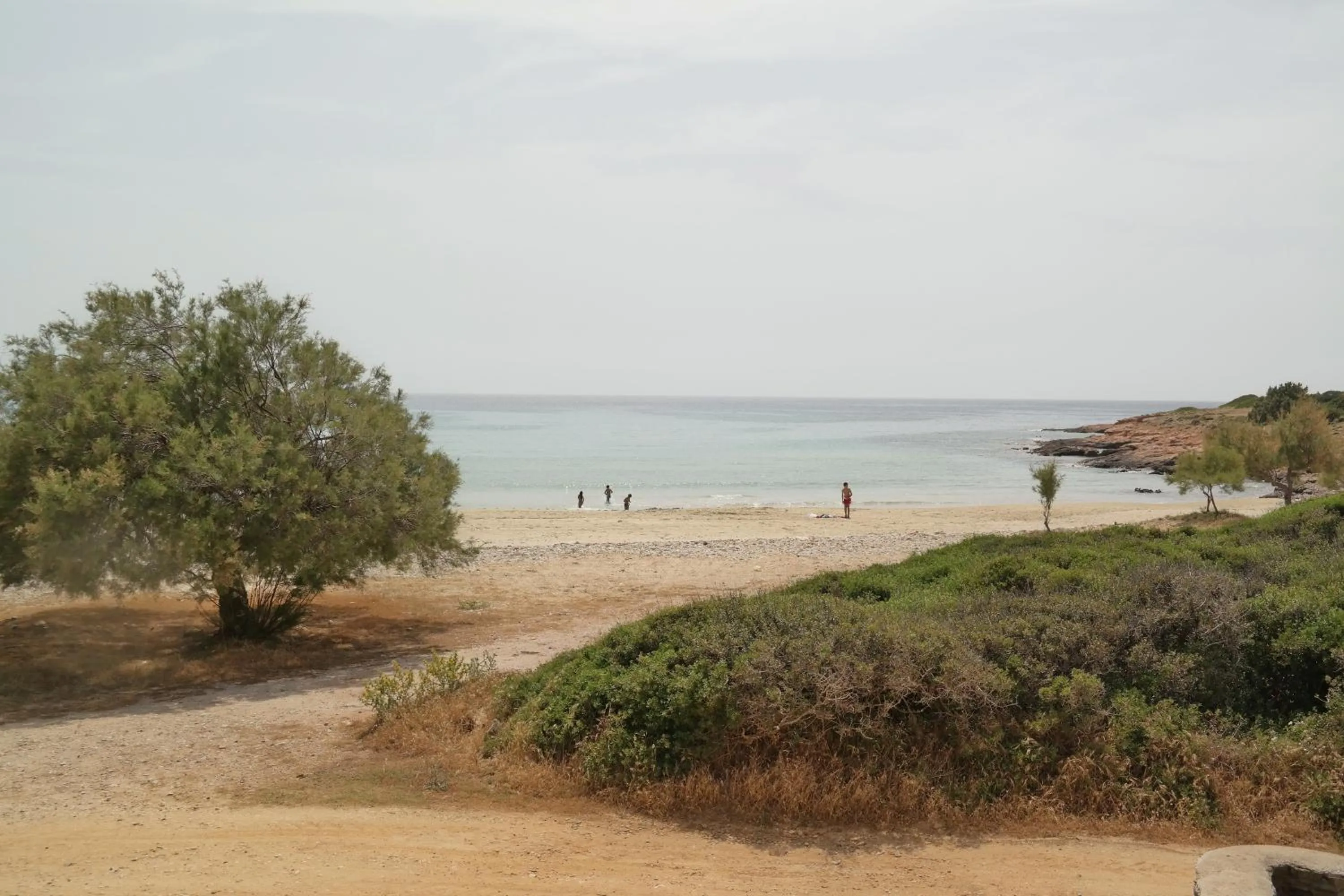 Beach in Paradise Studios