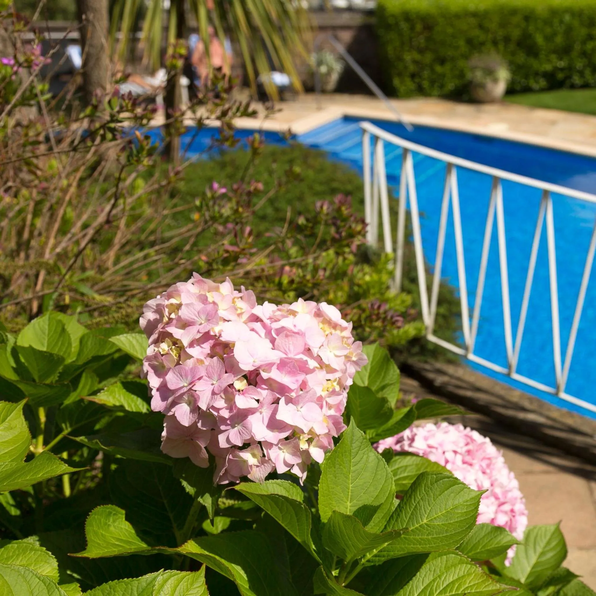 Garden in Somerville Hotel