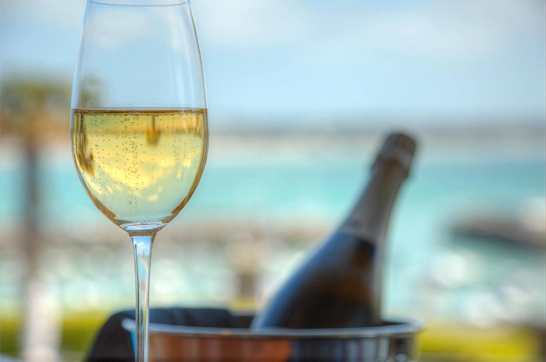 Lounge or bar in Somerville Hotel