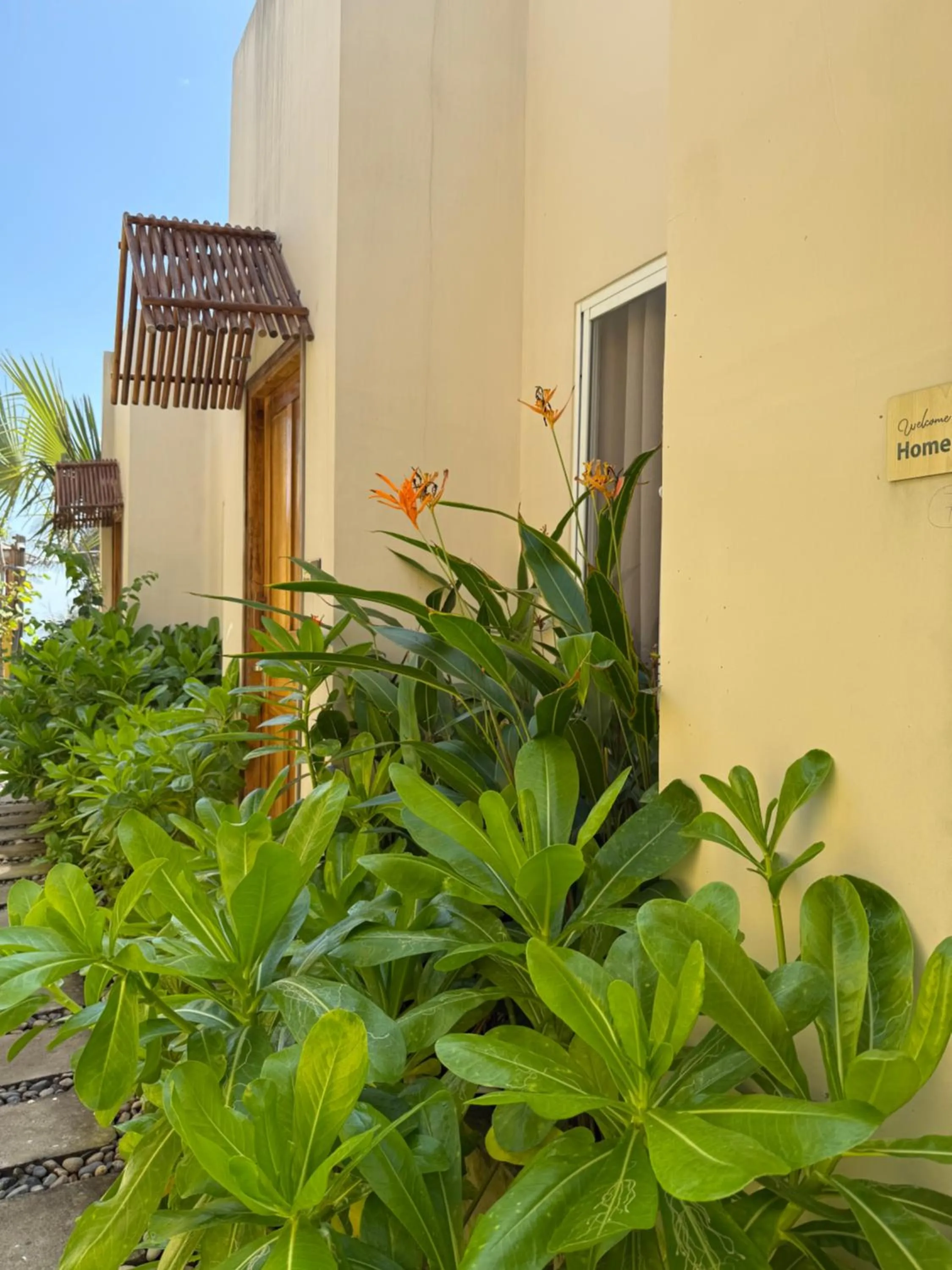 Emerald Beach Homestay