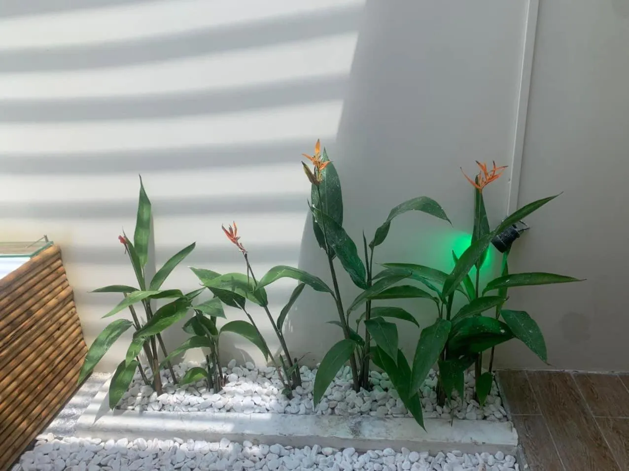 Emerald Beach Homestay