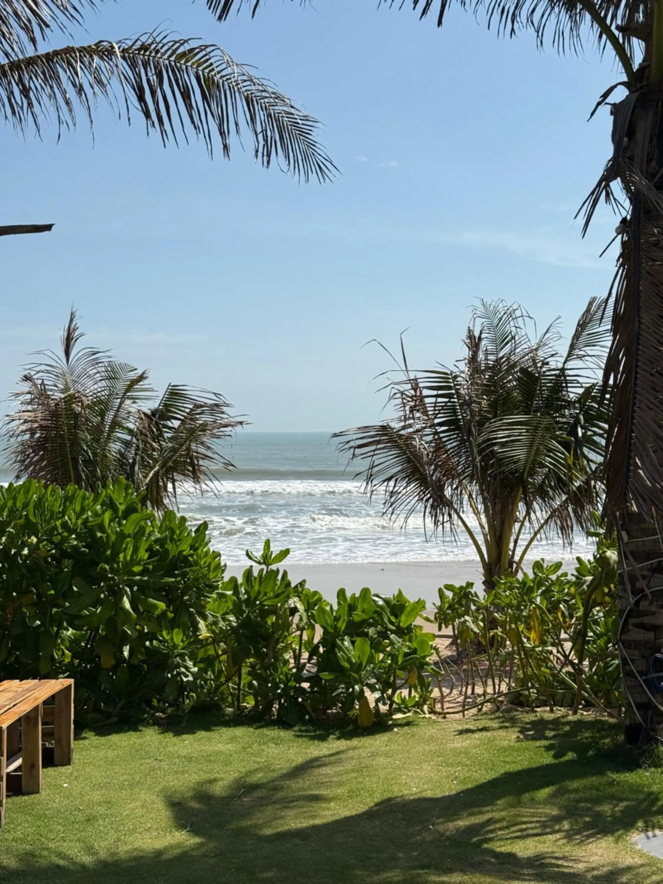 Natural landscape in Emerald Beach Homestay