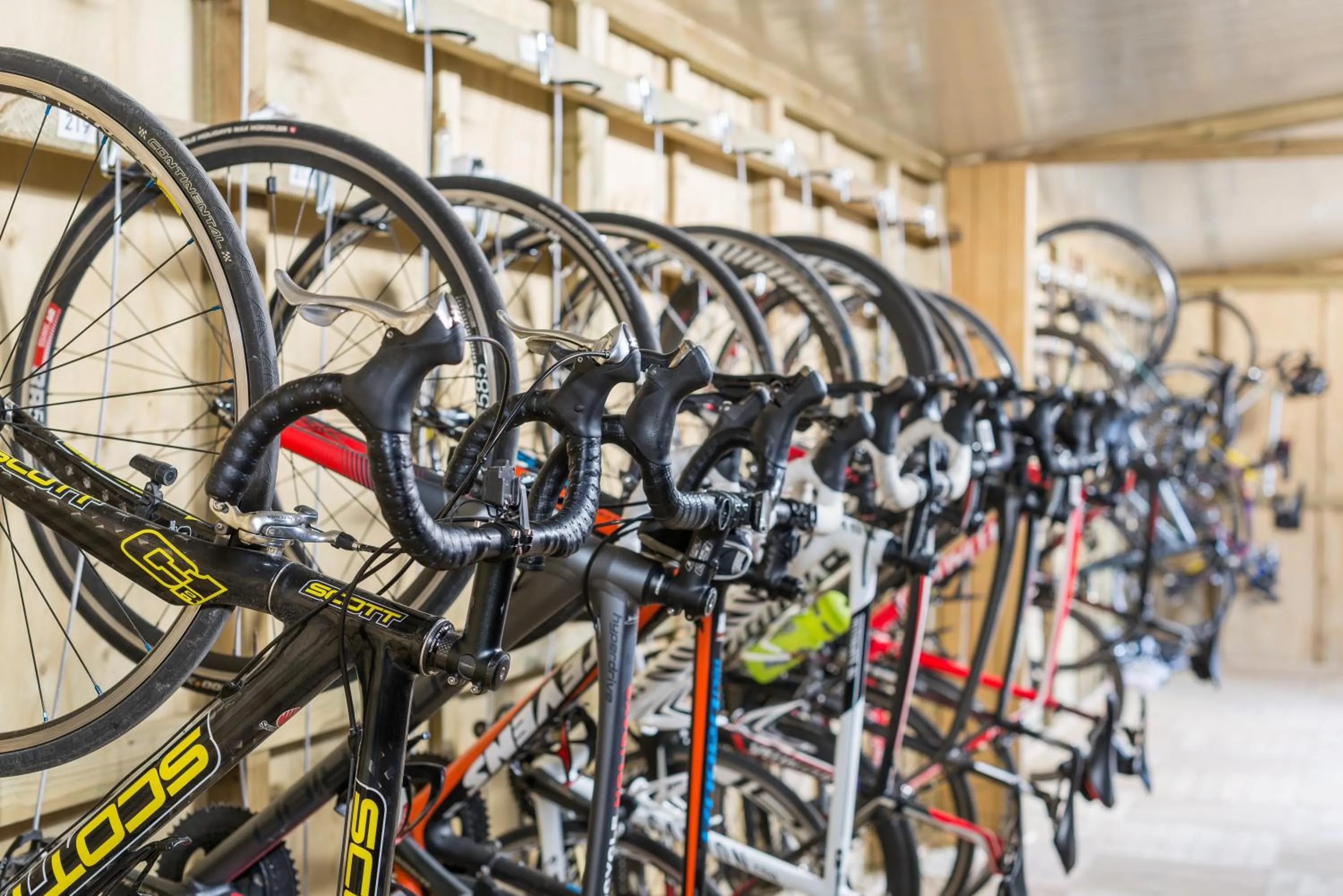 Cycling in Botel Alcudiamar - Alojamiento para Navegantes