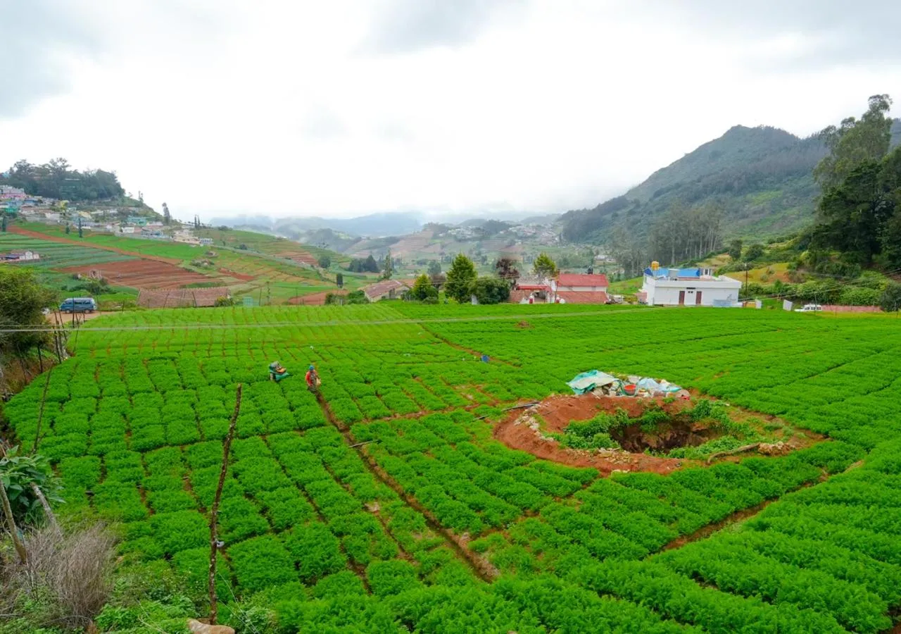 Spring in Silent Retreat Ooty Pool Resort by VOYE HOMES