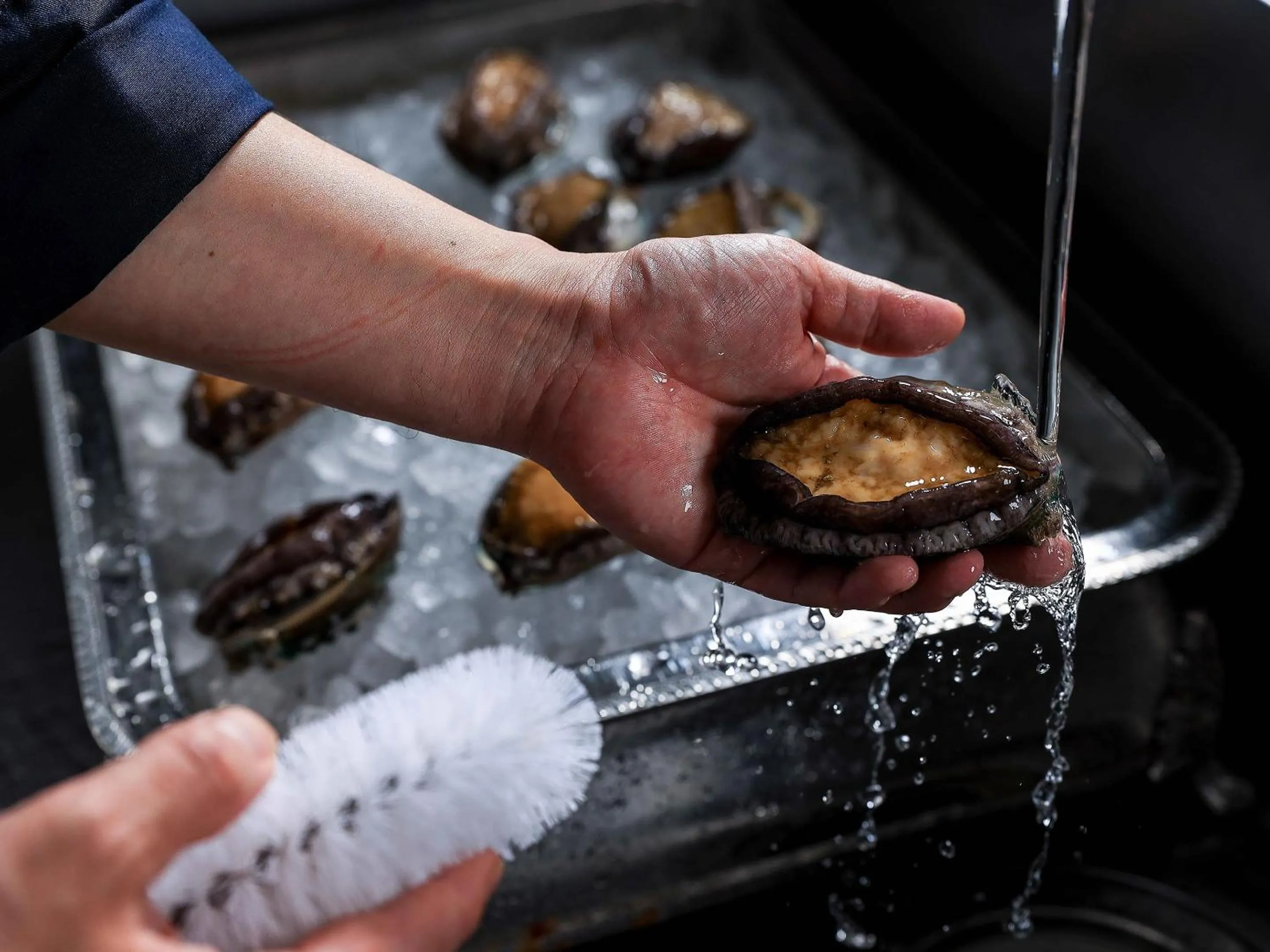 Food in Executive Suite SUIREI