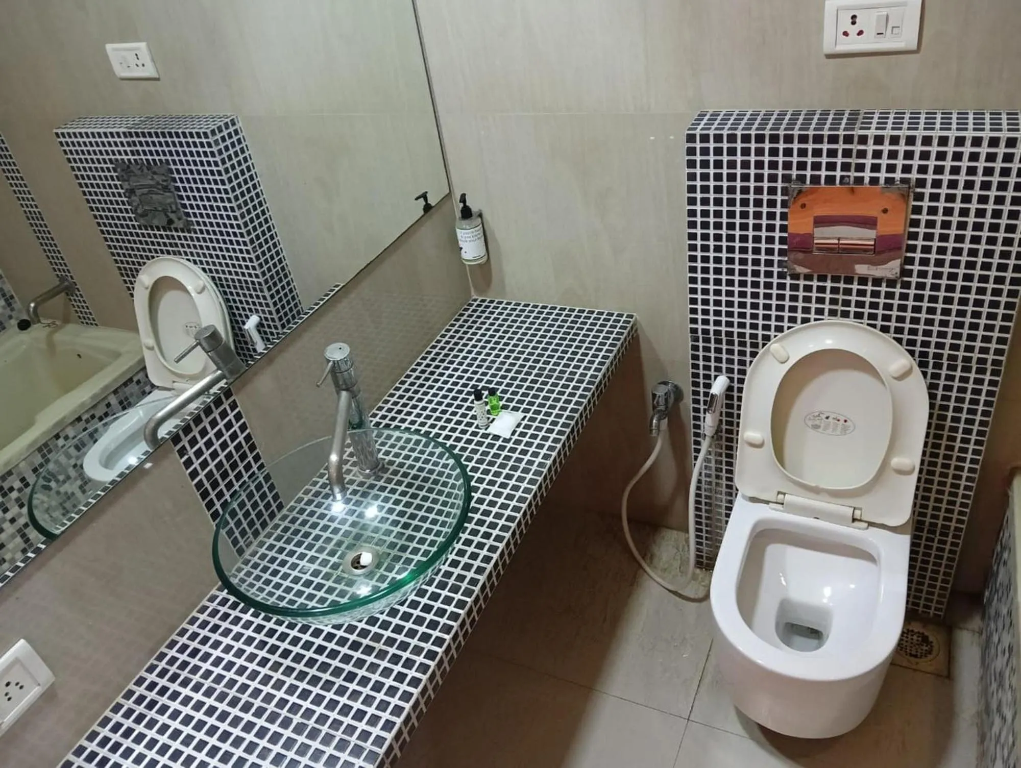 Toilet in Hotel Crown