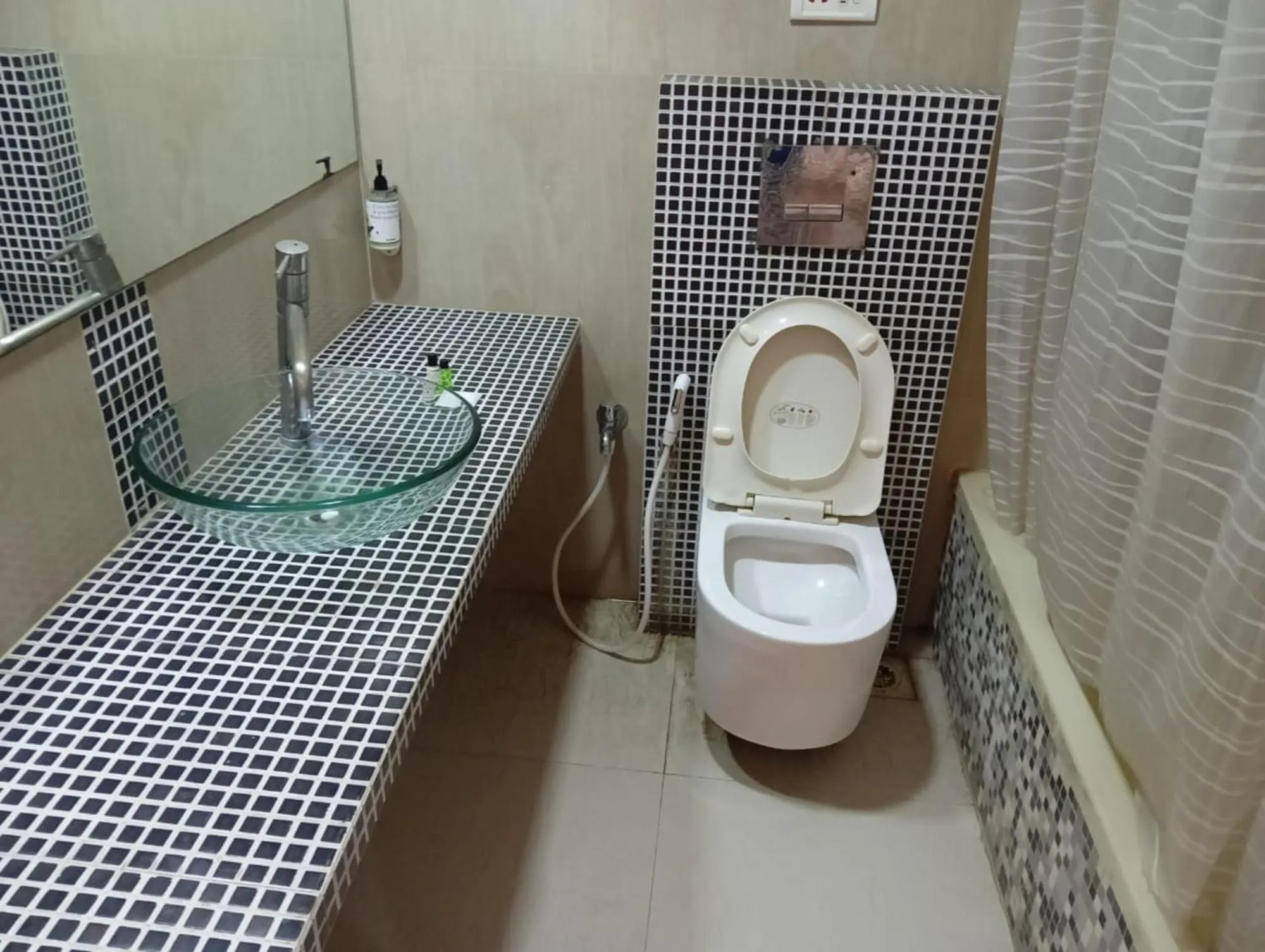 Toilet in Hotel Crown