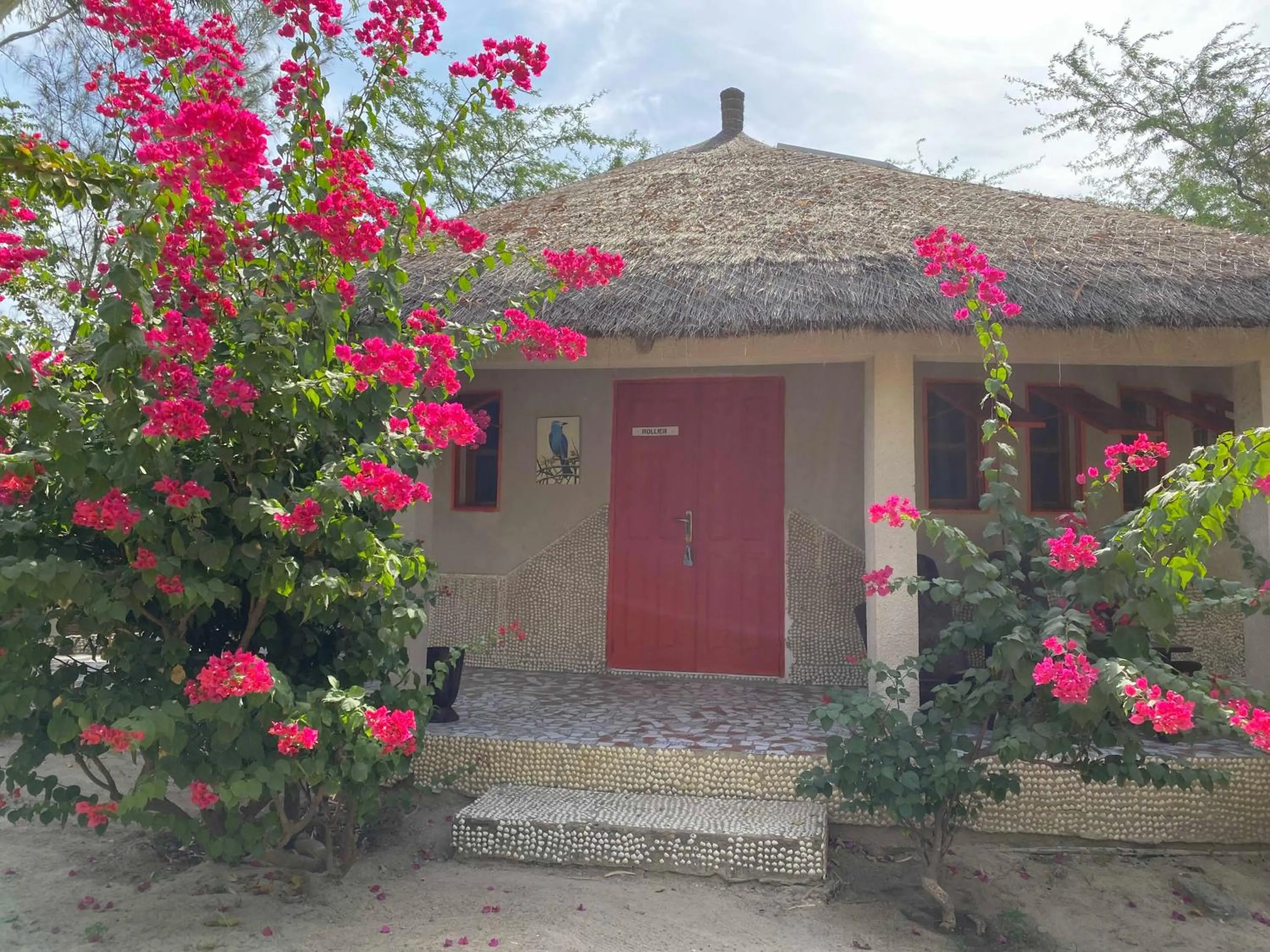 Bazouk Du Saloum Ecolodge Solidaire