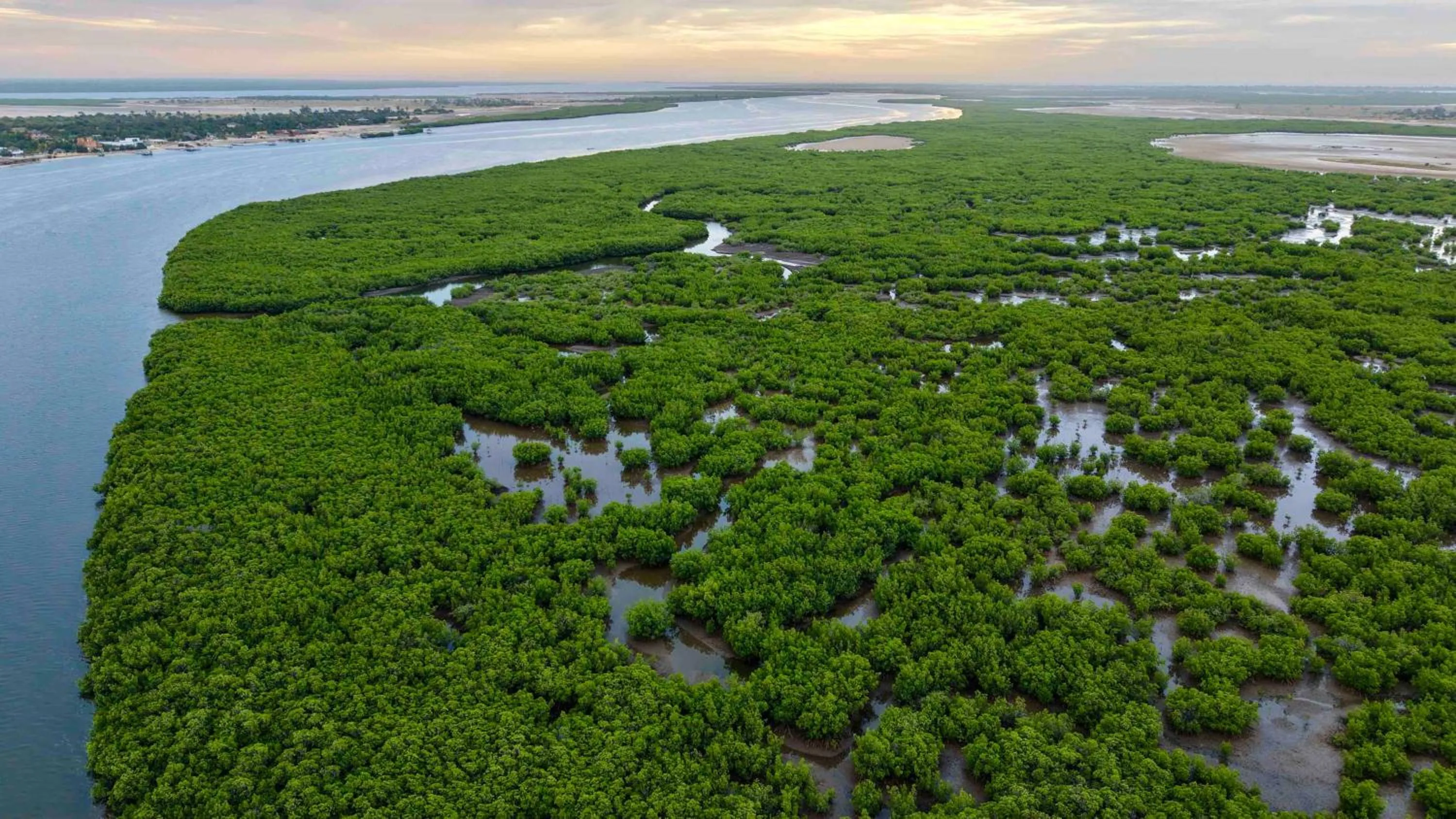 Bazouk Du Saloum Ecolodge Solidaire