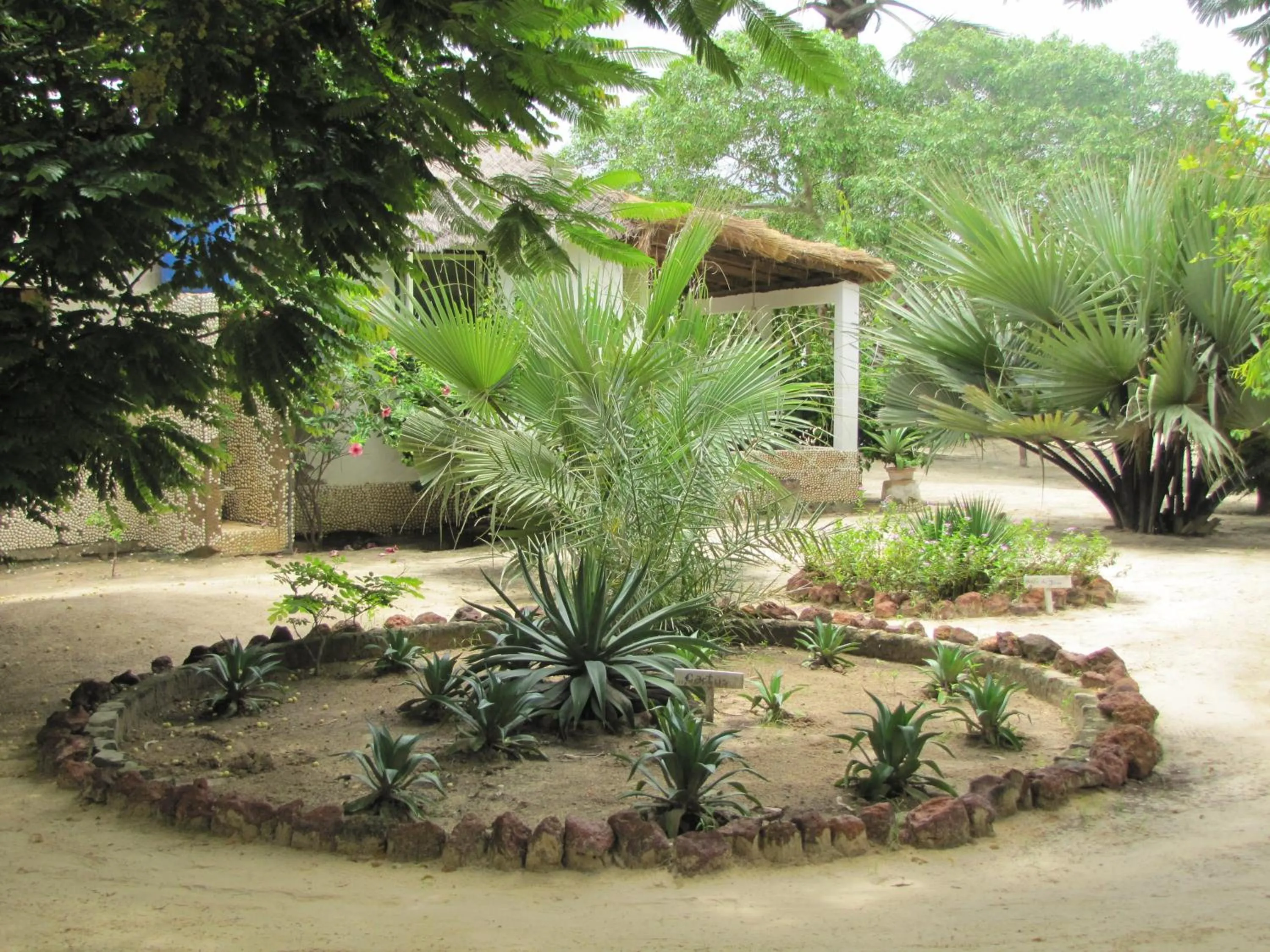 Garden in Bazouk Du Saloum Ecolodge Solidaire