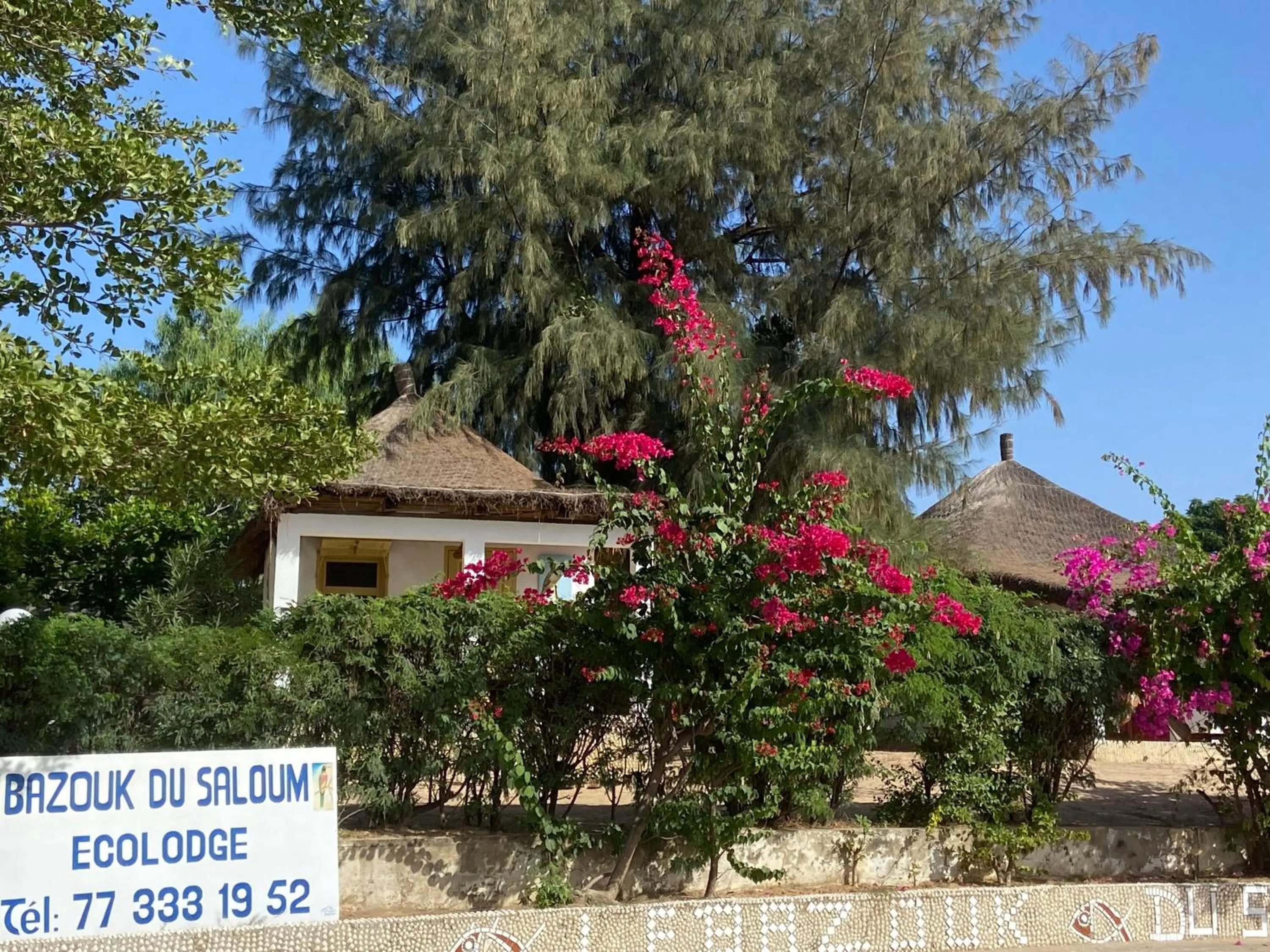 Bazouk Du Saloum Ecolodge Solidaire