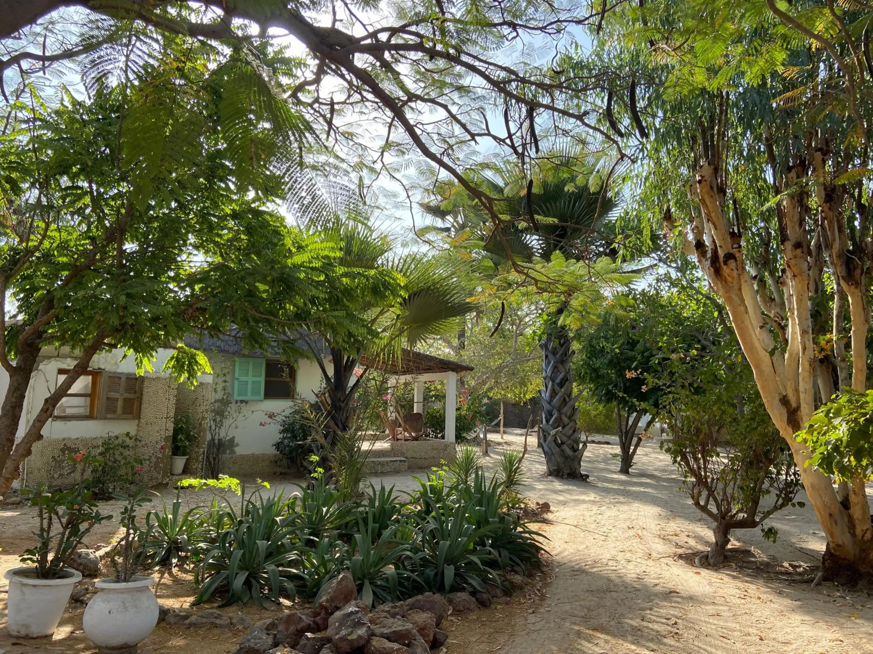 Bazouk Du Saloum Ecolodge Solidaire