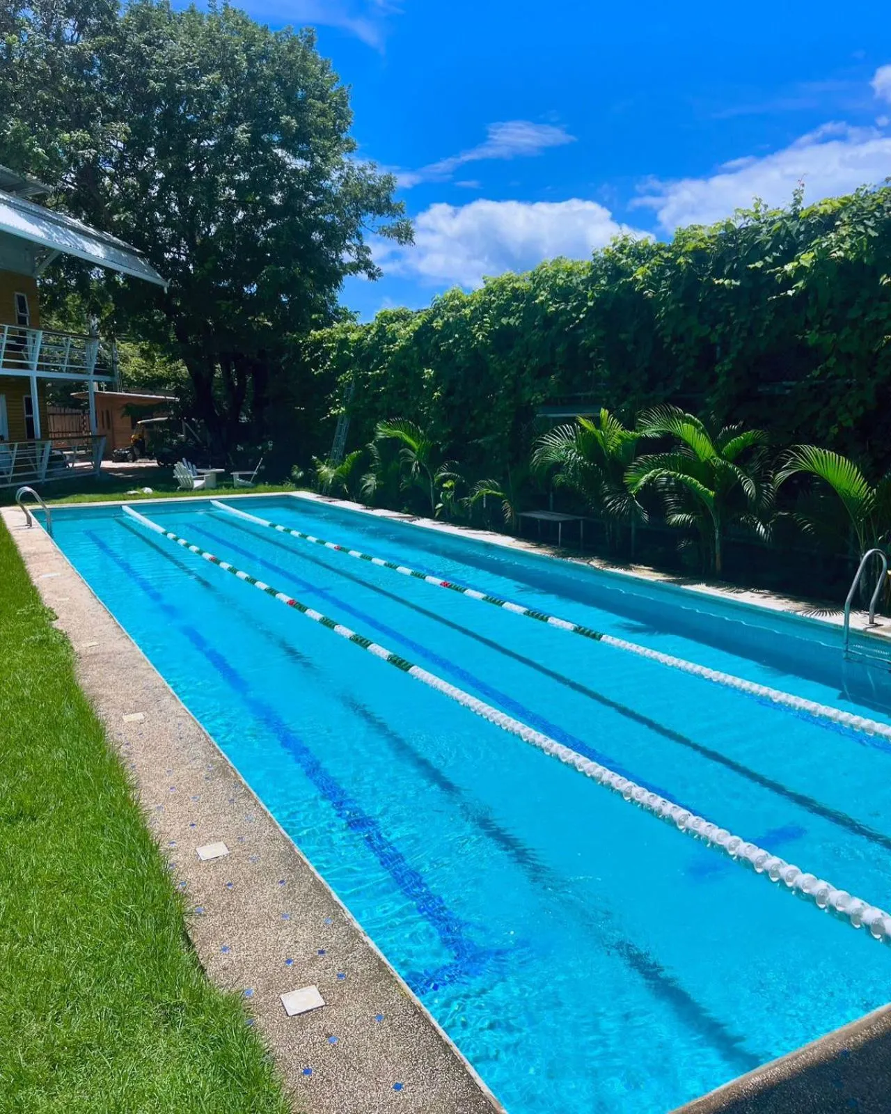 Day in Hotel Tama Lodge