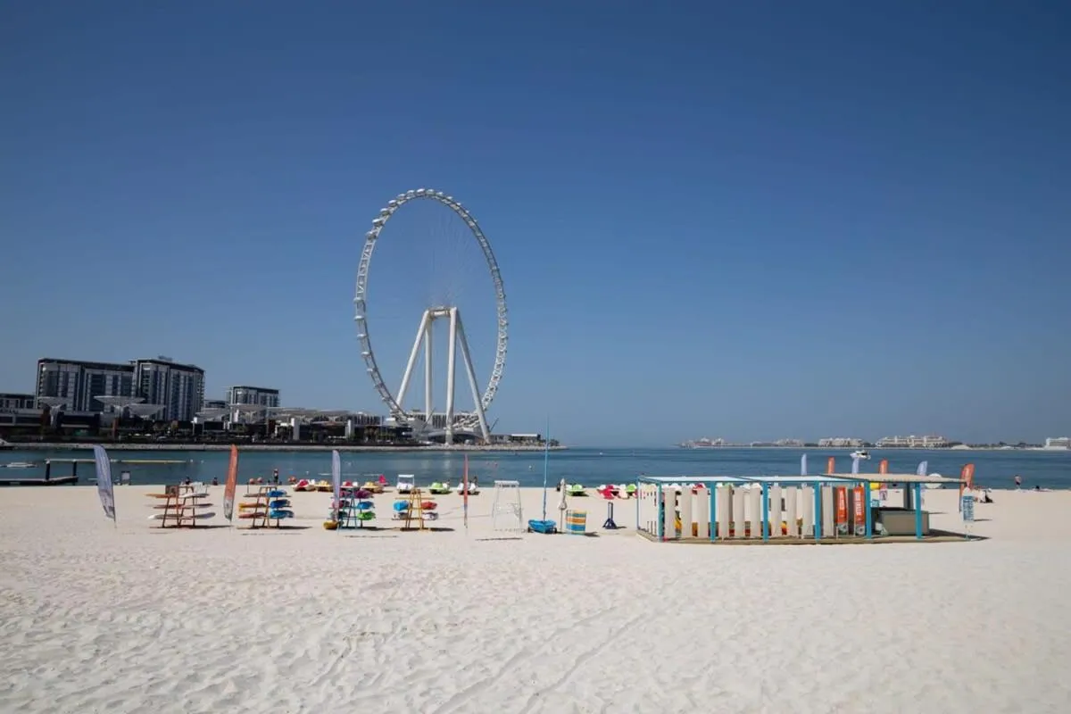 Frank Porter - Sadaf 6