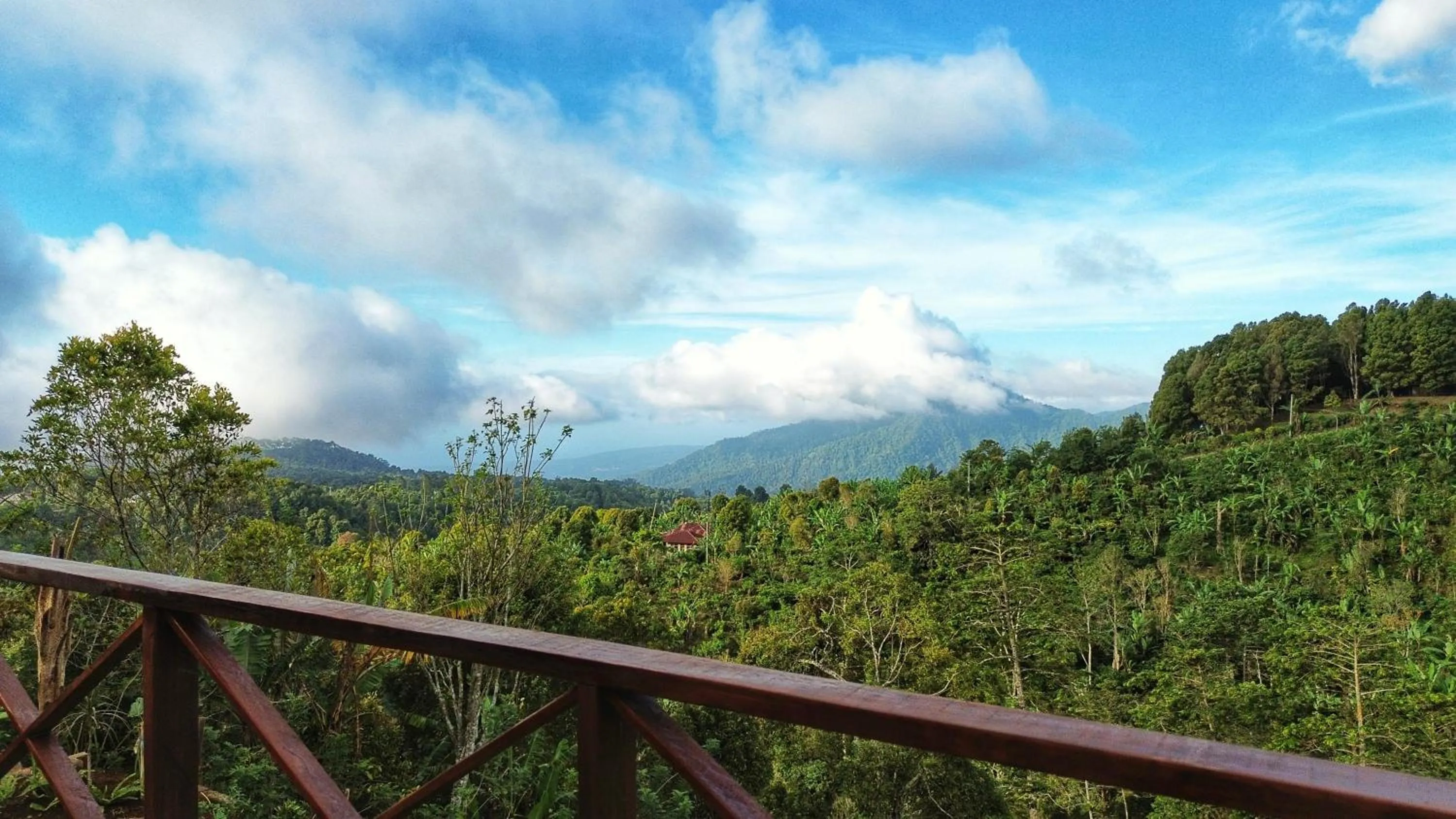 Natural landscape in Villa Kayu Amertha