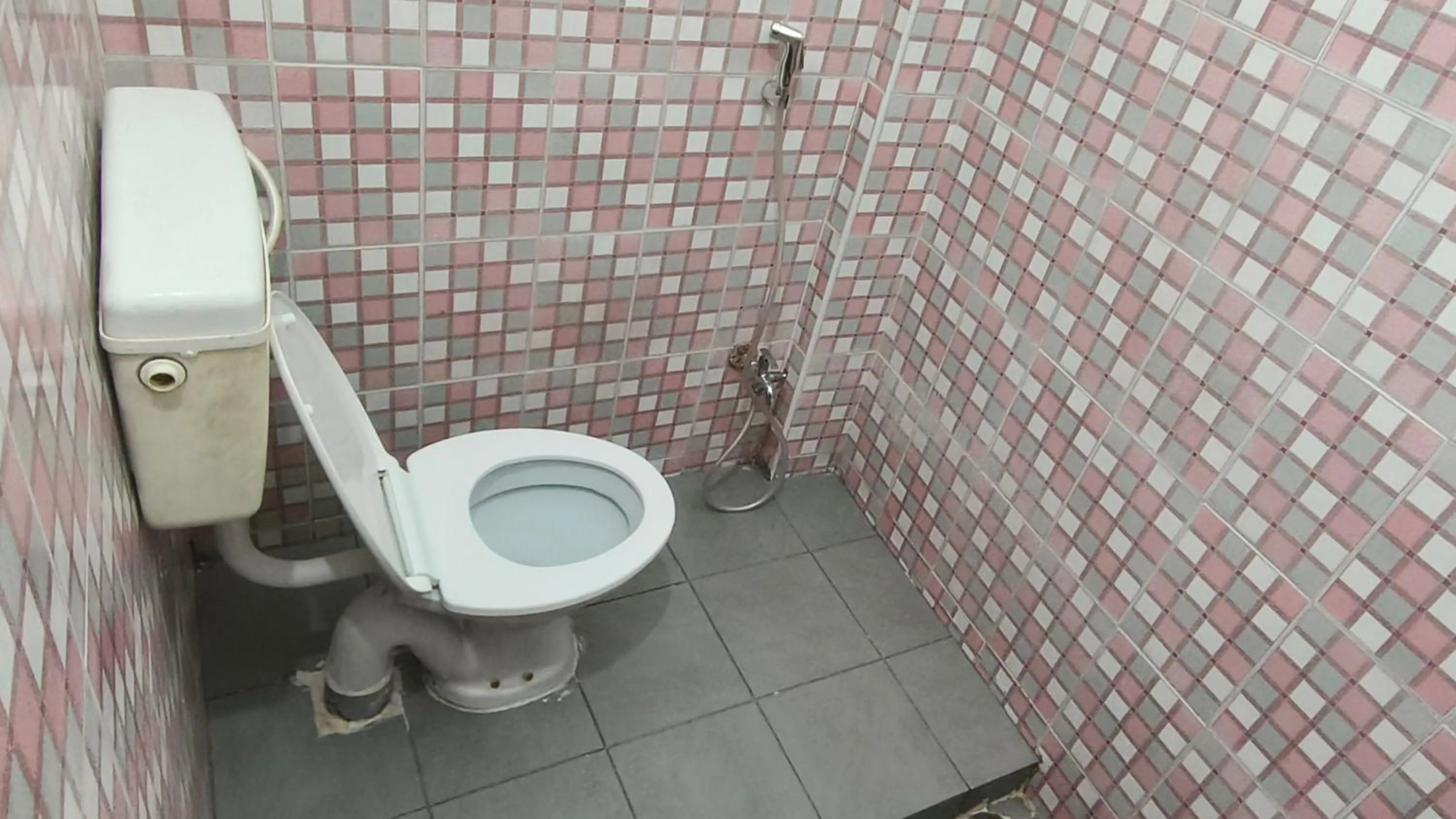 Toilet in Hotel Safra