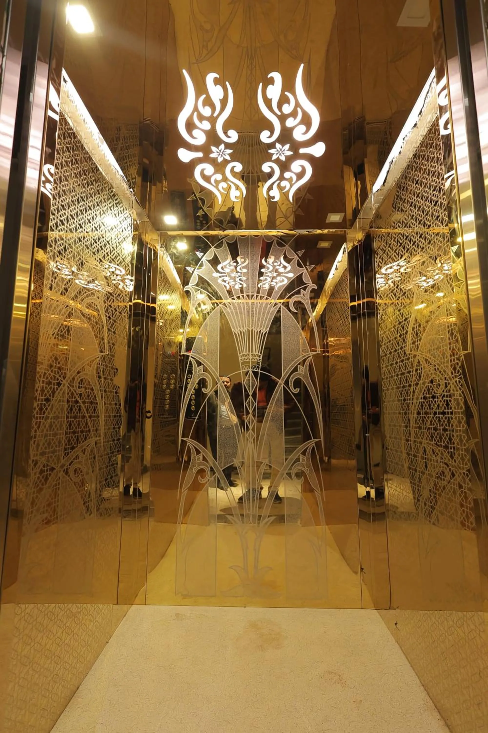 elevator in Rubystone Shiv Vilas Palace