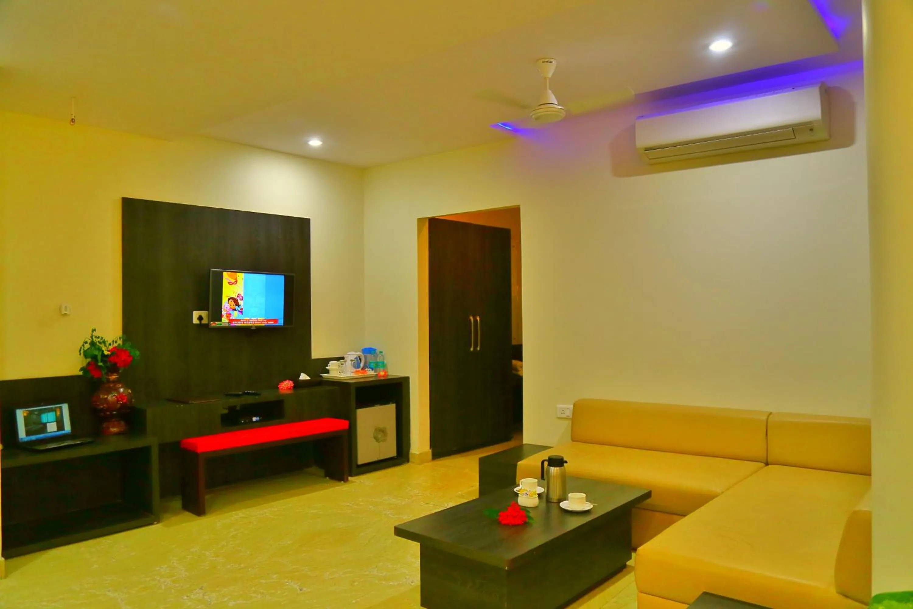 TV and multimedia in Rubystone Shiv Vilas Palace