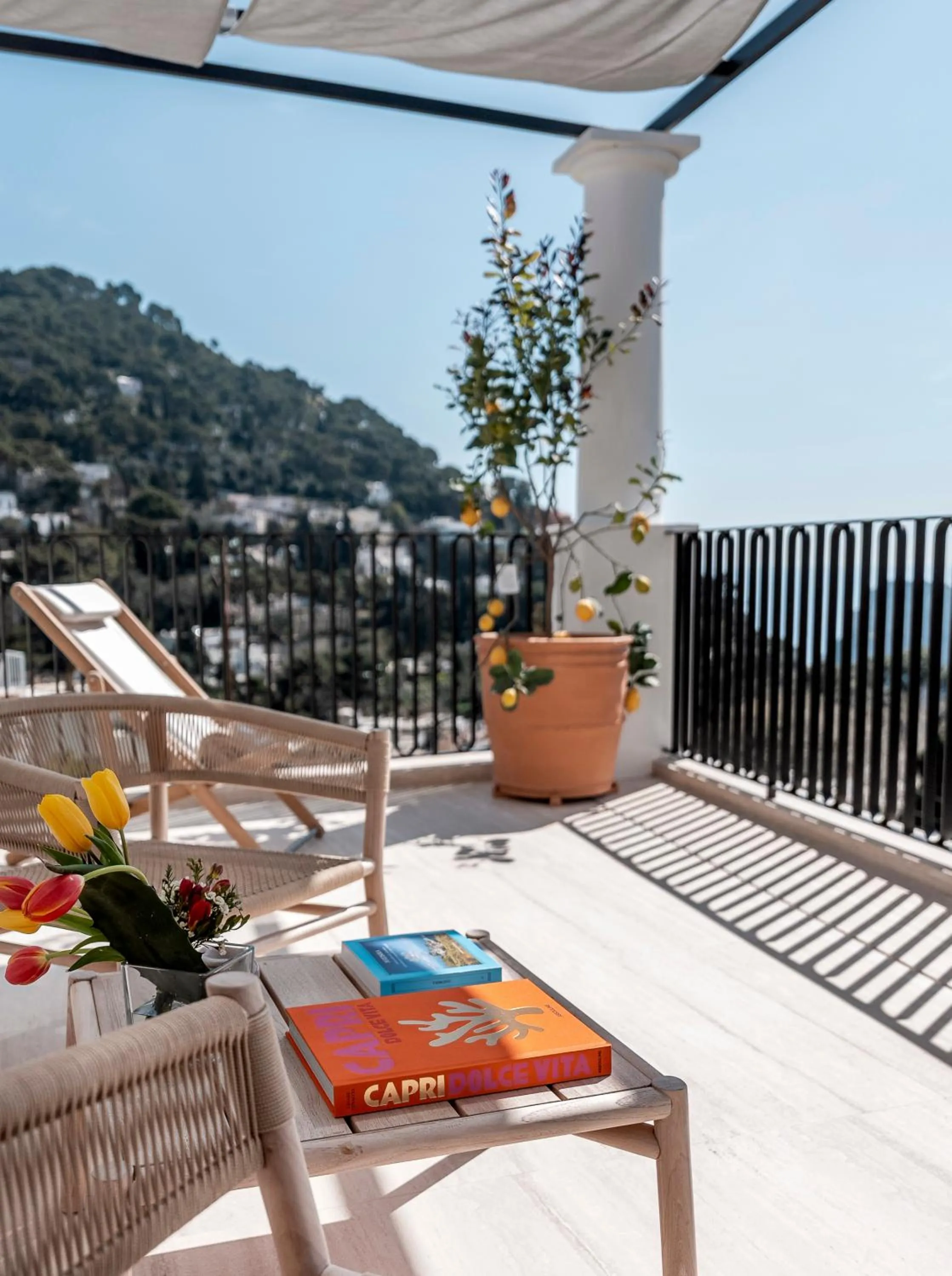 View (from property/room) in Villa Certosa