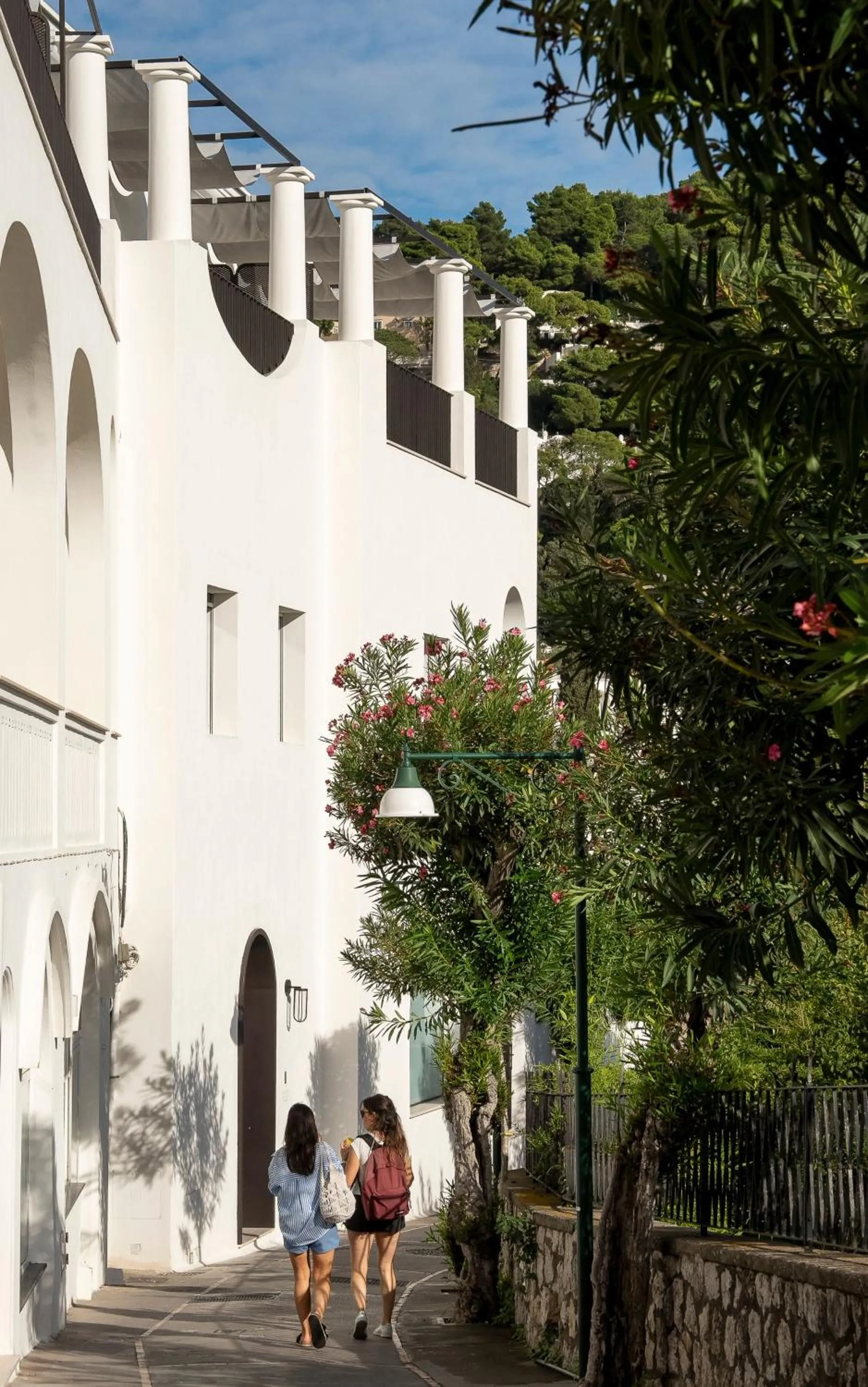 Property building in Villa Certosa