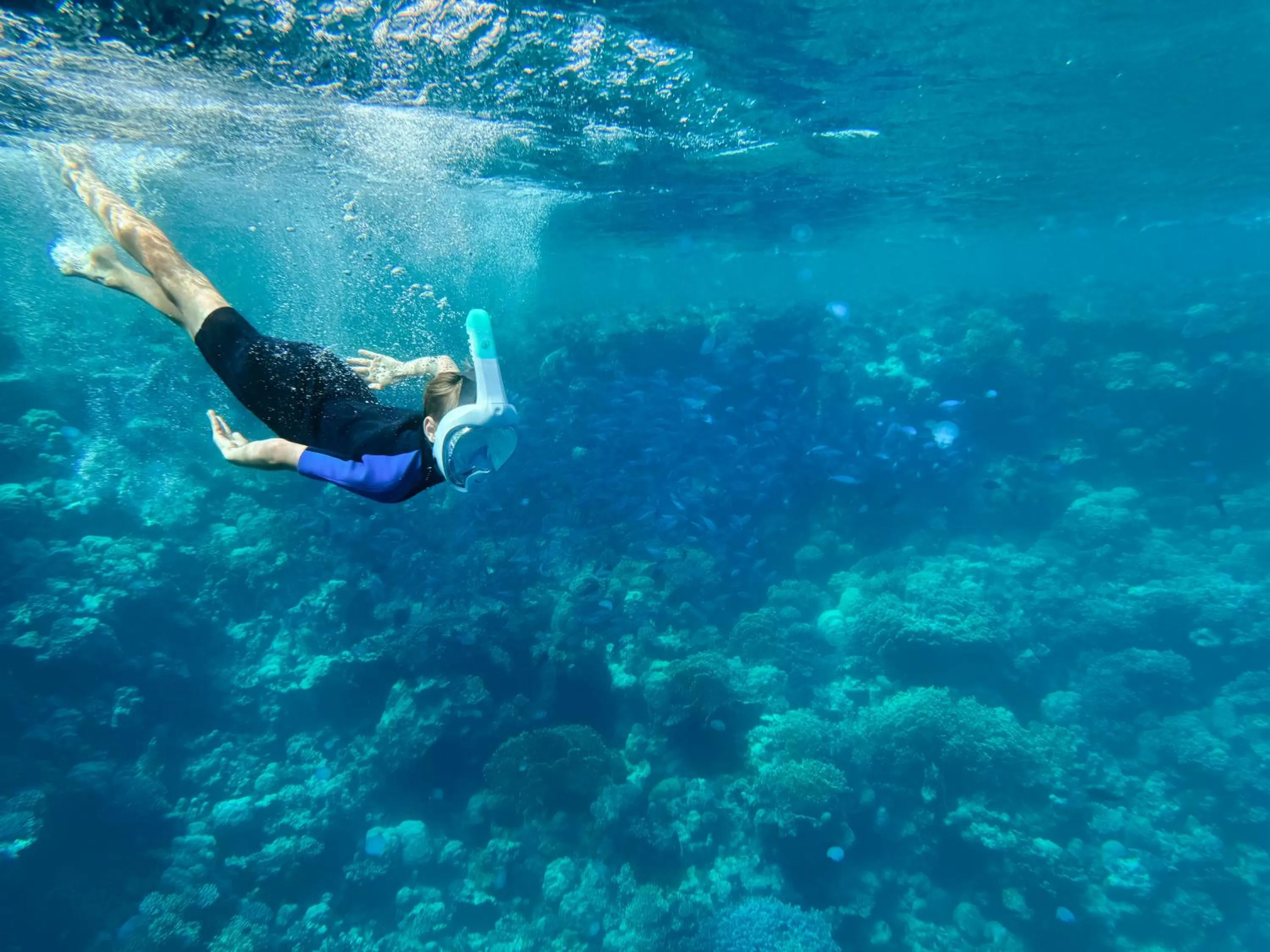 Diving in Sentido Naga Bay - Adults friendly