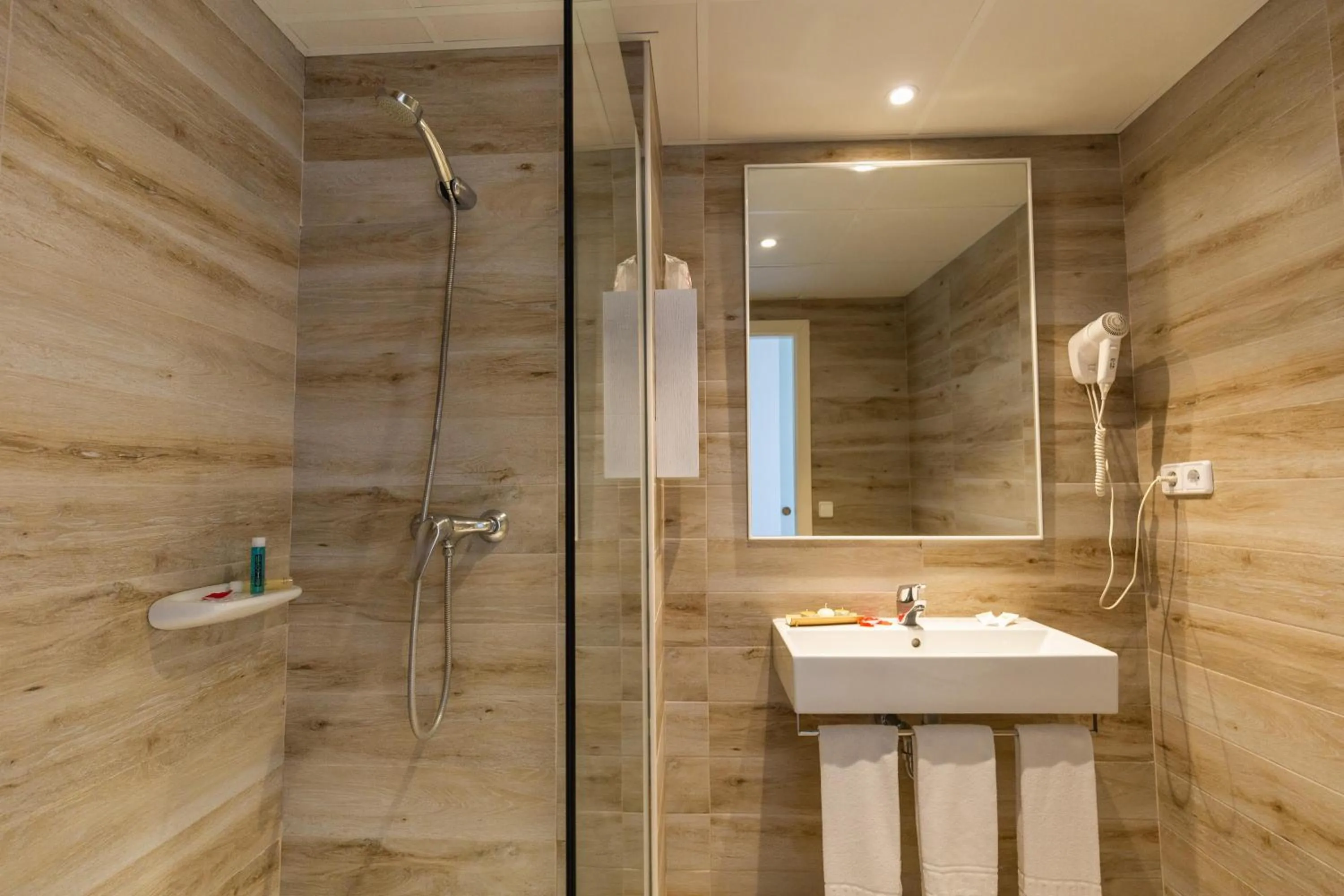 Shower in R2 Veronica