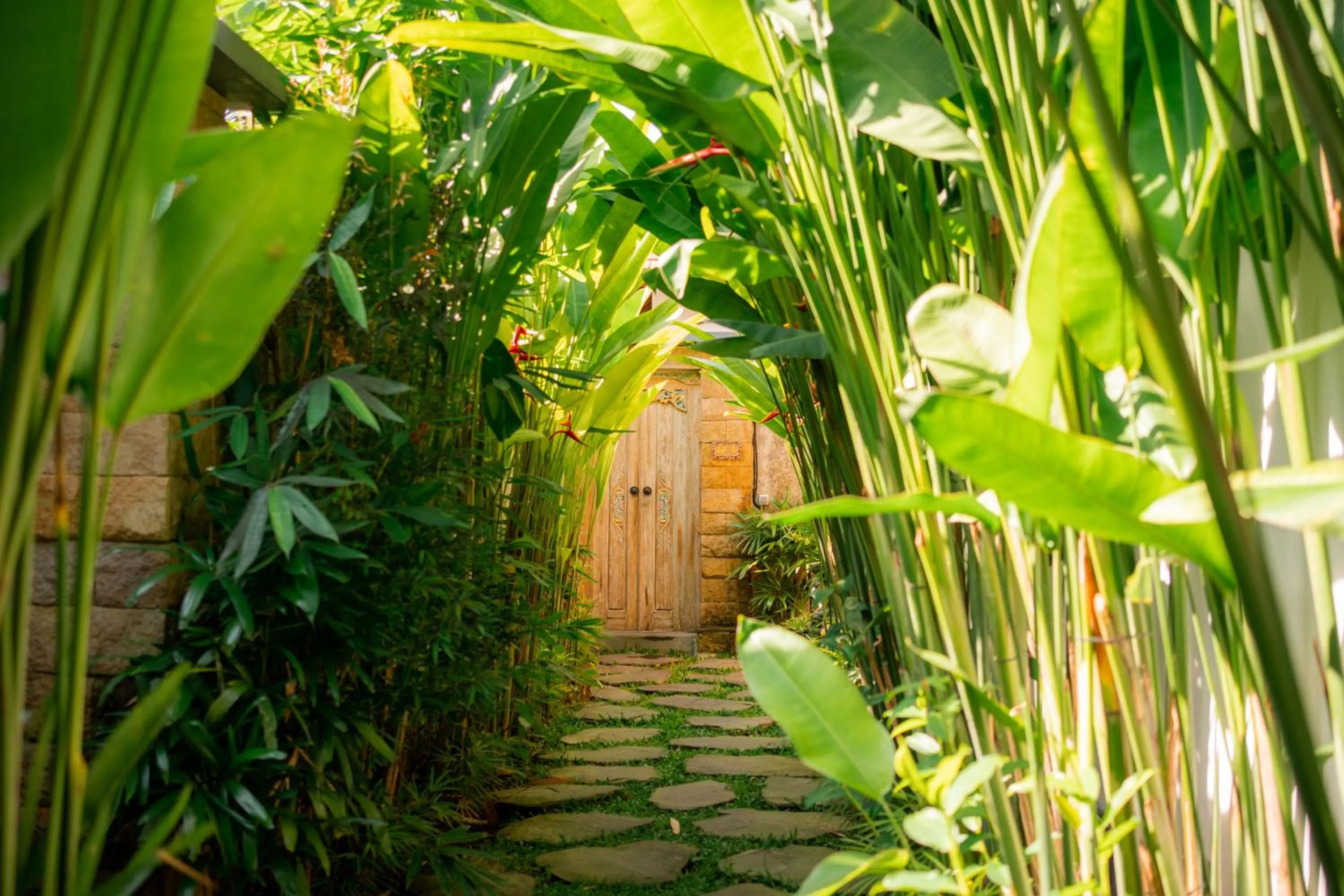 Spring in Kaki Uma Villa