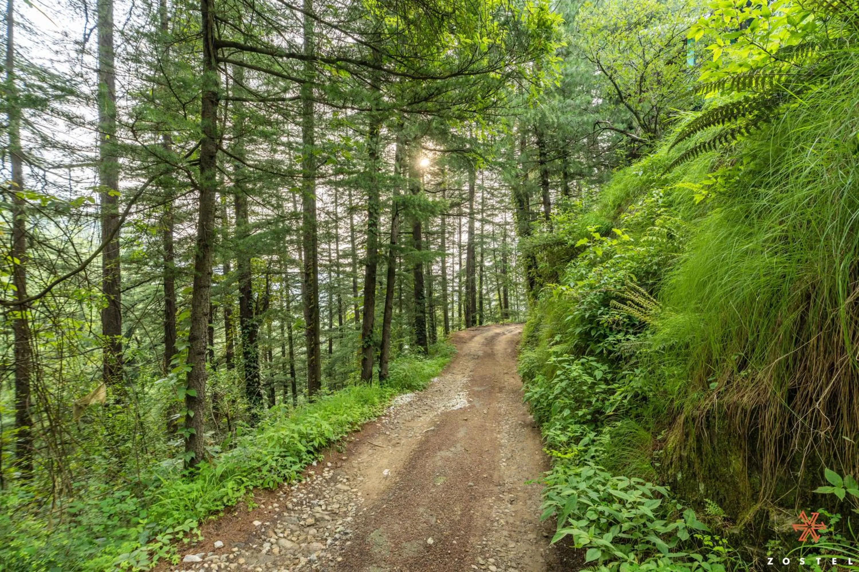 Zostel Kotgarh, Narkanda