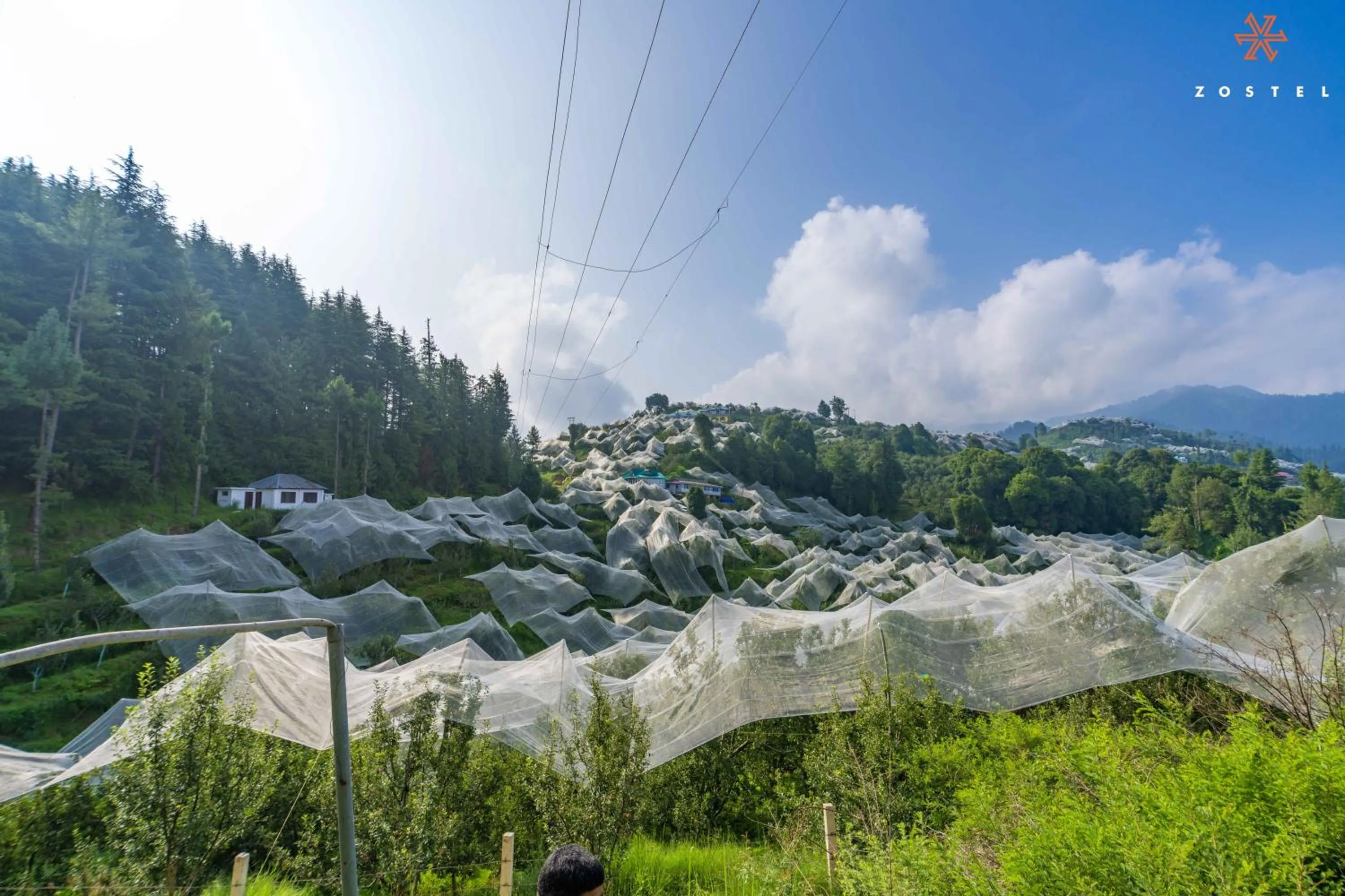 Zostel Kotgarh, Narkanda