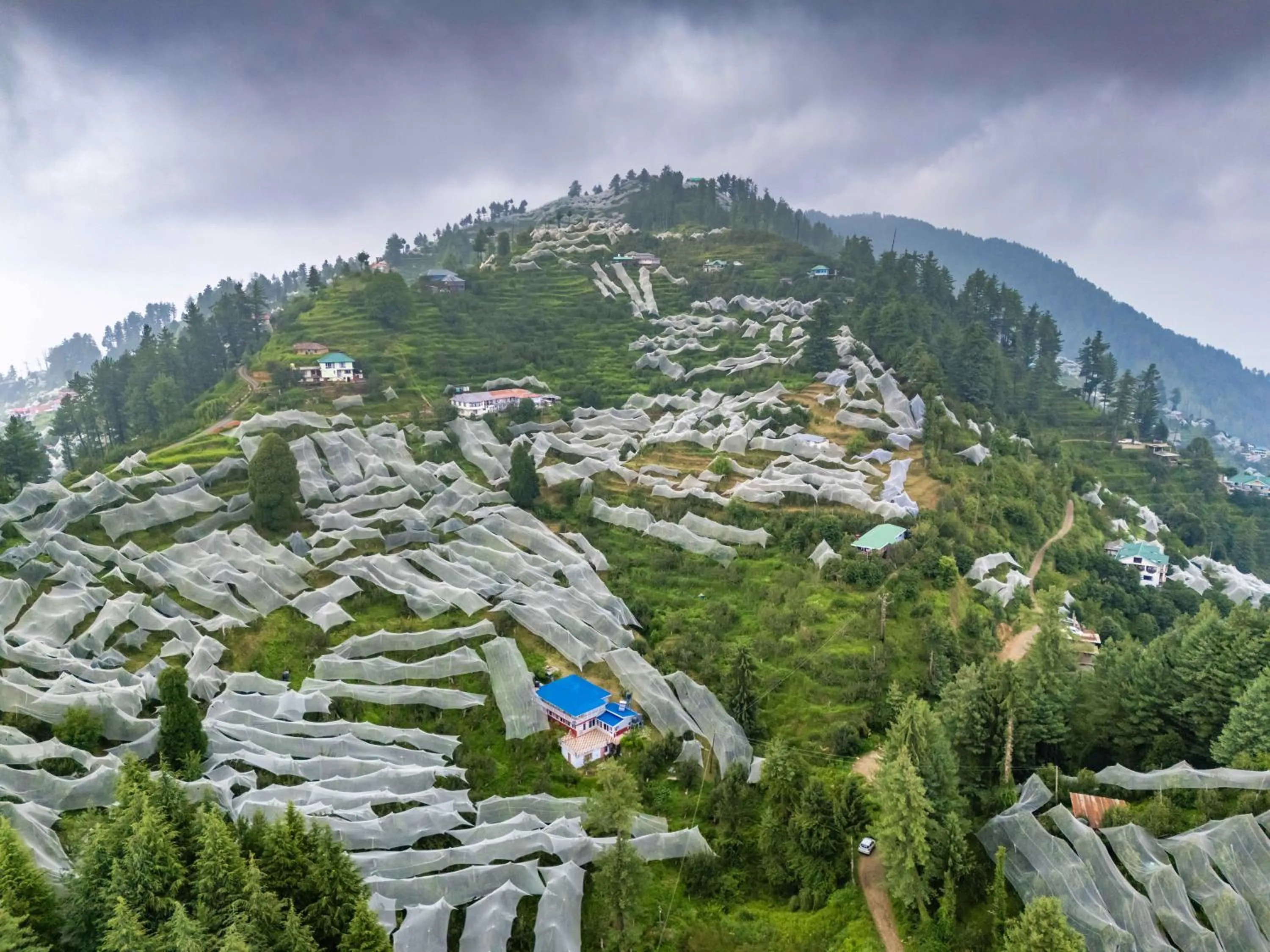 Zostel Kotgarh, Narkanda