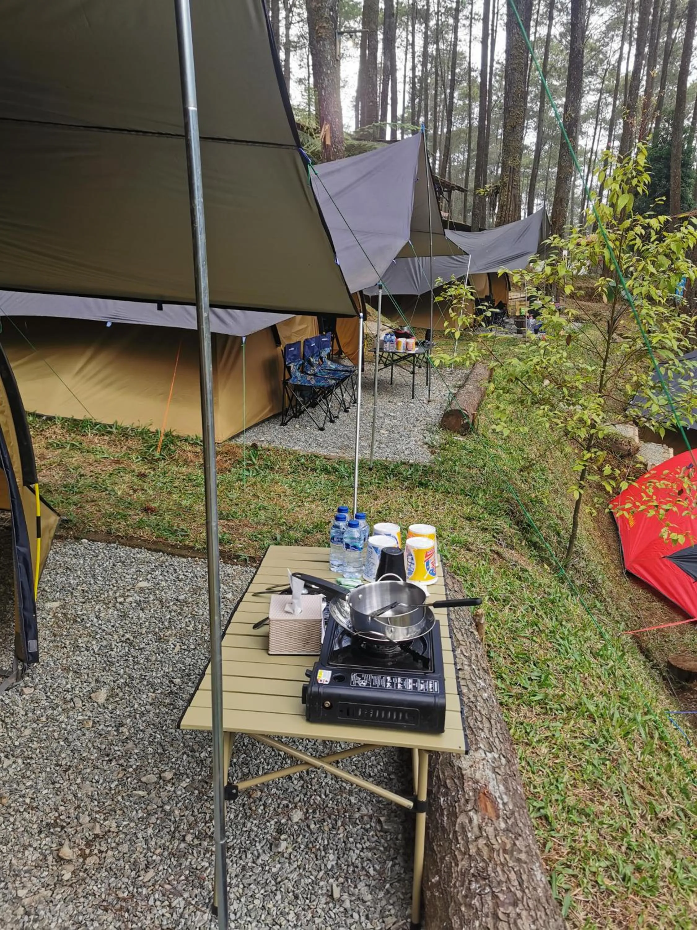 Balcony/Terrace in corak alam glamping