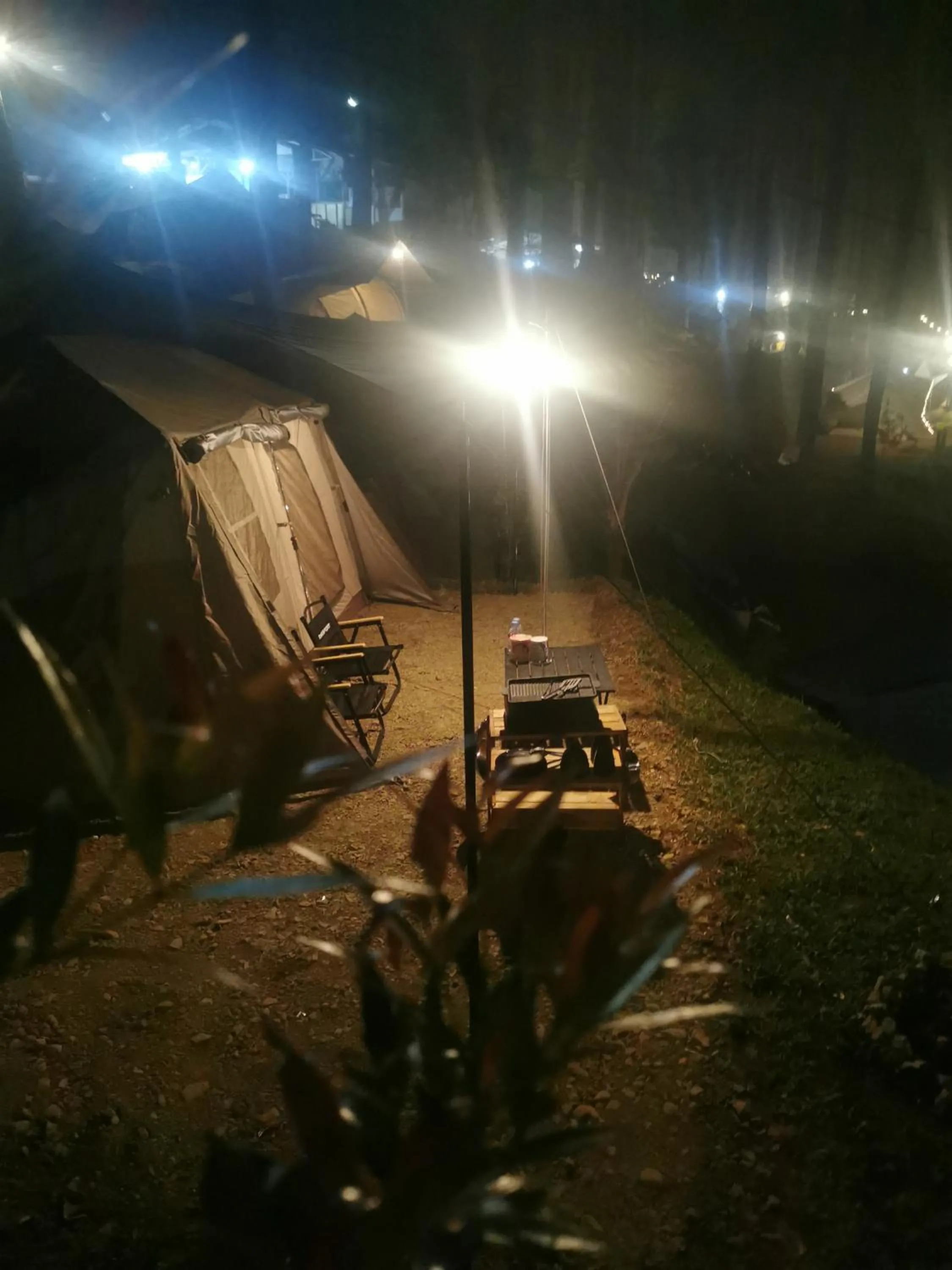 Balcony/Terrace in corak alam glamping