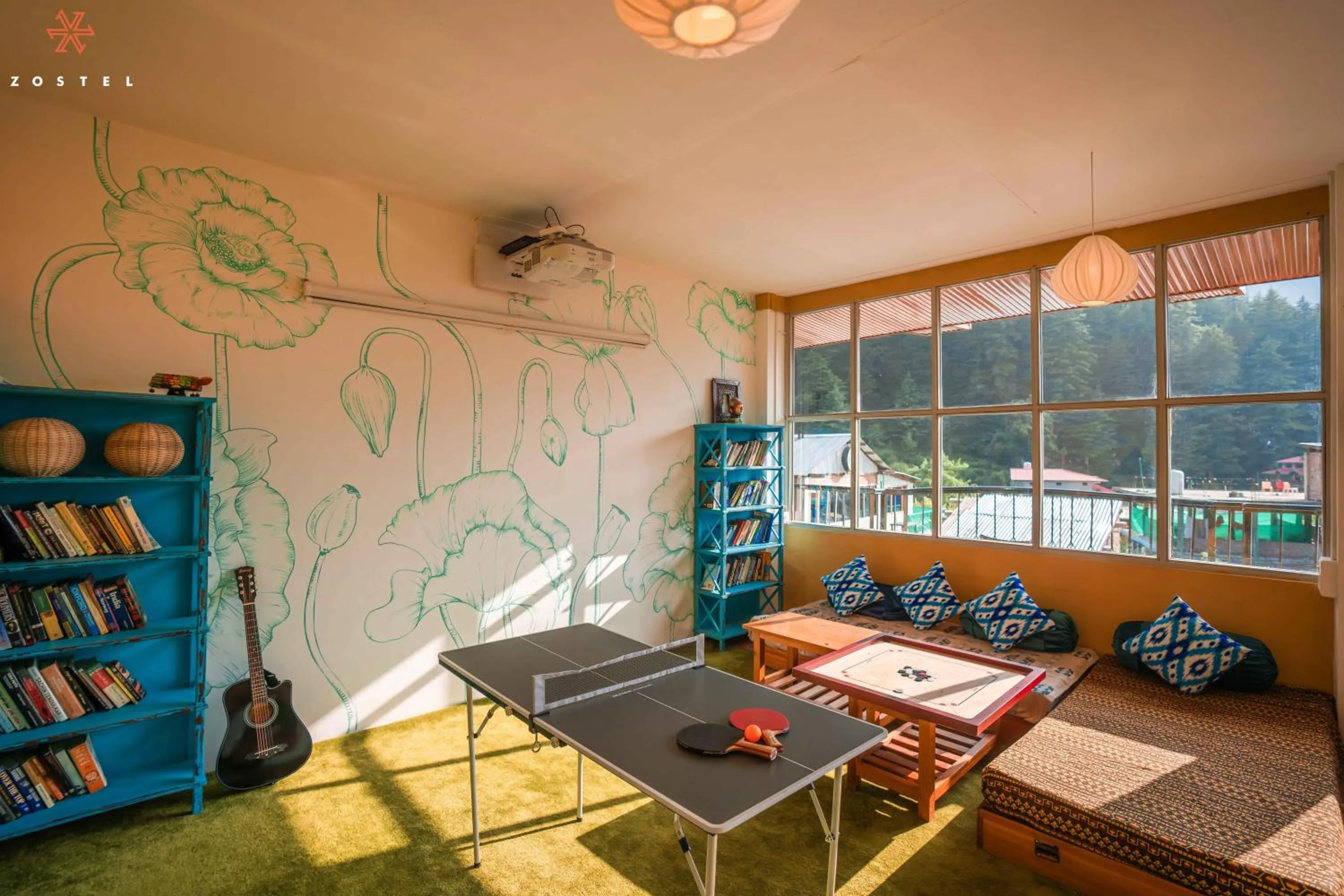 Library in Zostel Pulga