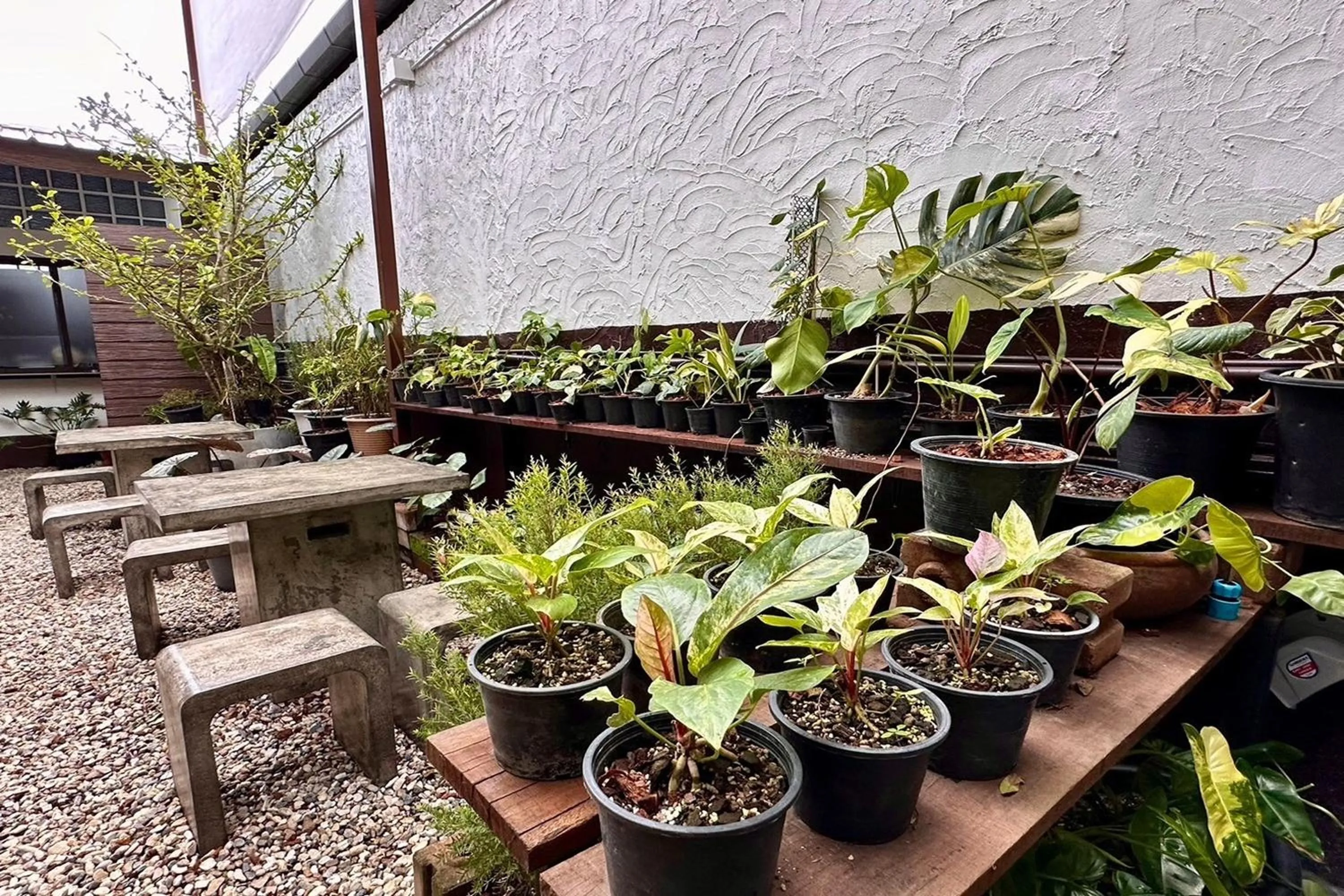 Garden view in Nuan Nil Secret Courtyard