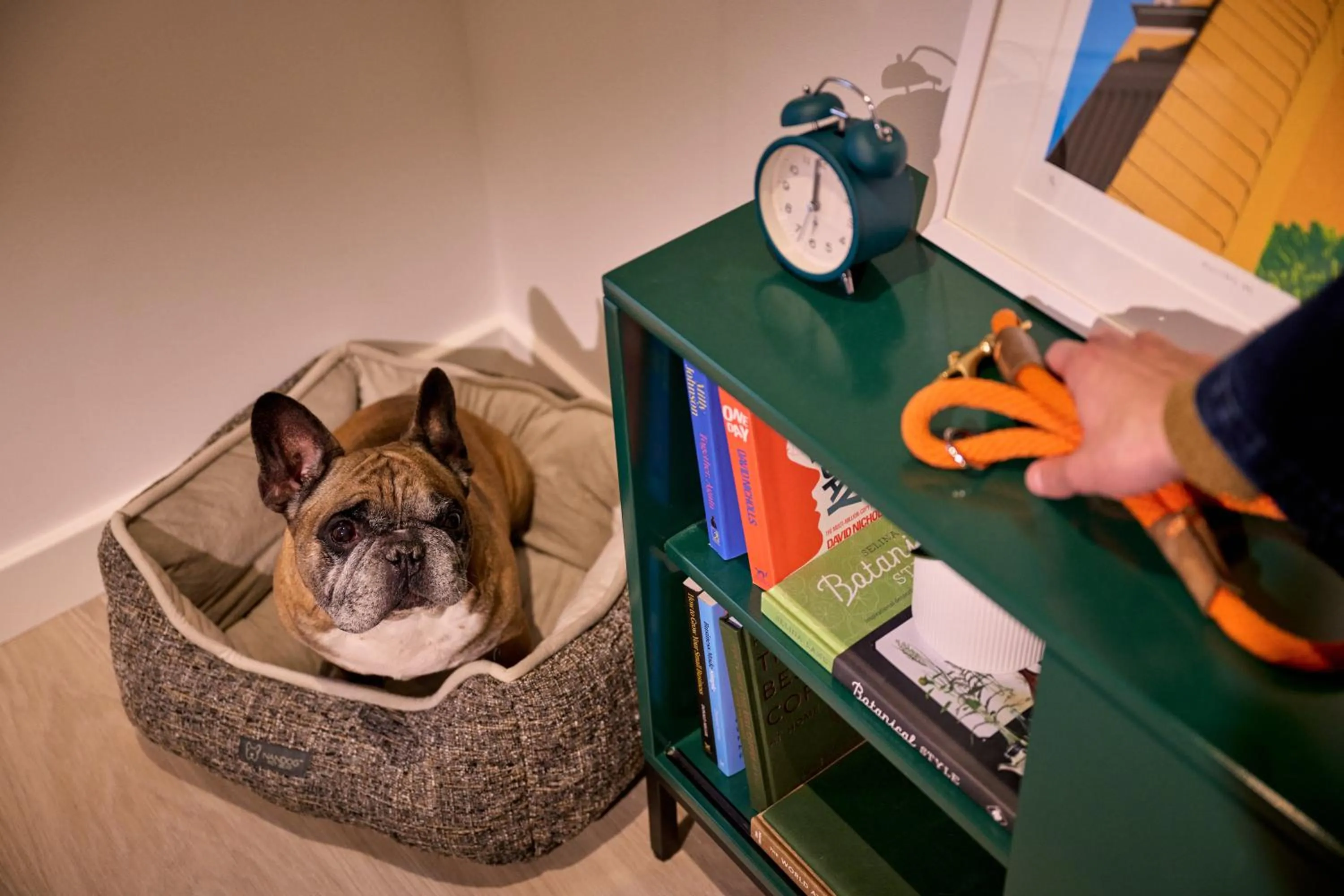 pet friendly in Vertus Edit Canary Wharf