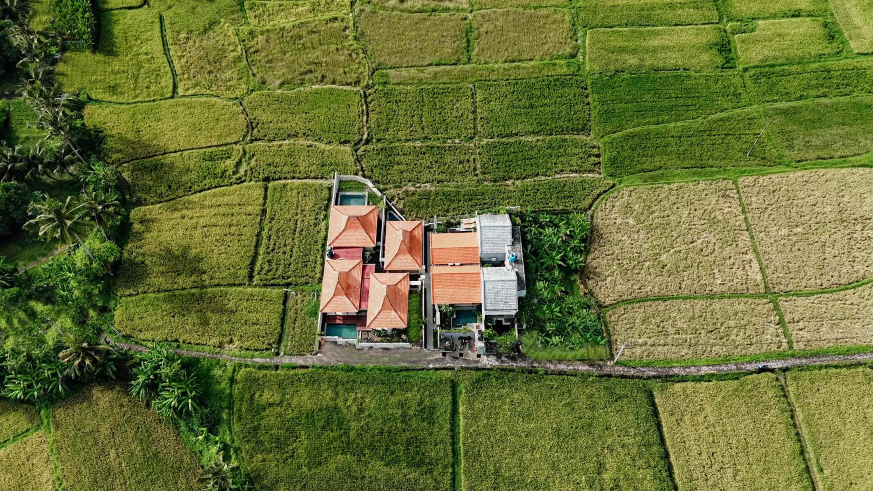 Area and facilities in Weda Villas