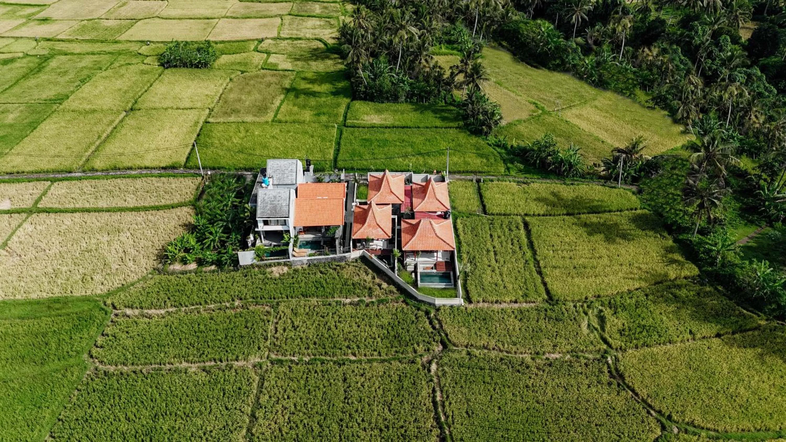 Area and facilities in Weda Villas