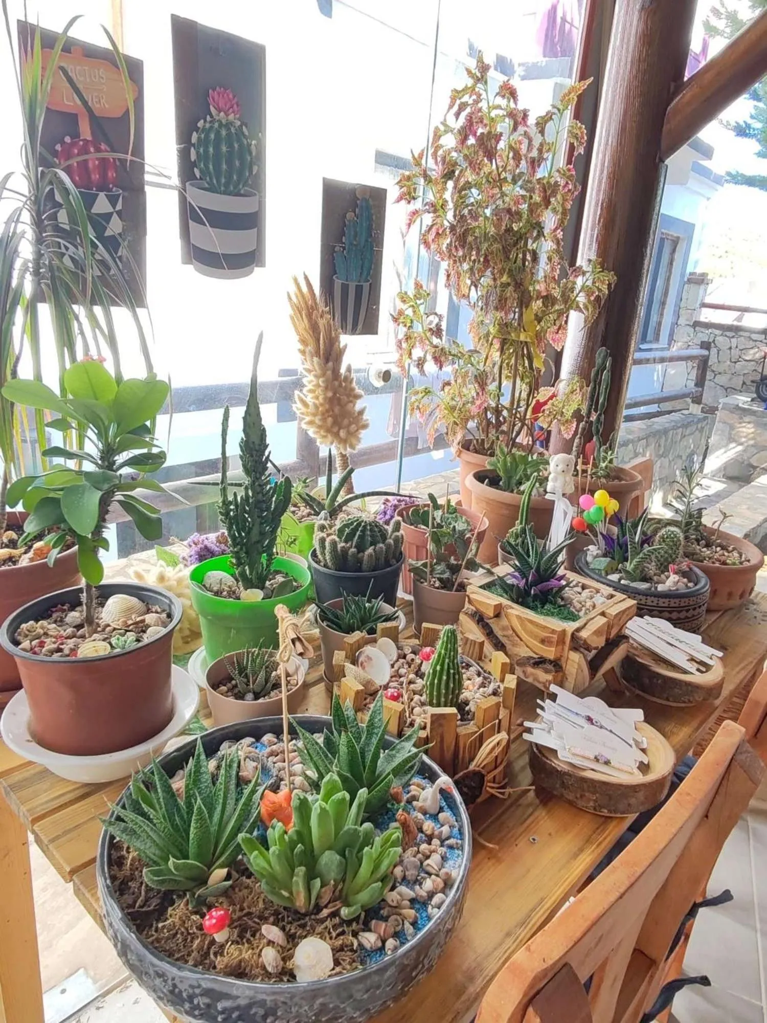 Restaurant/places to eat in Aim Bozcaada