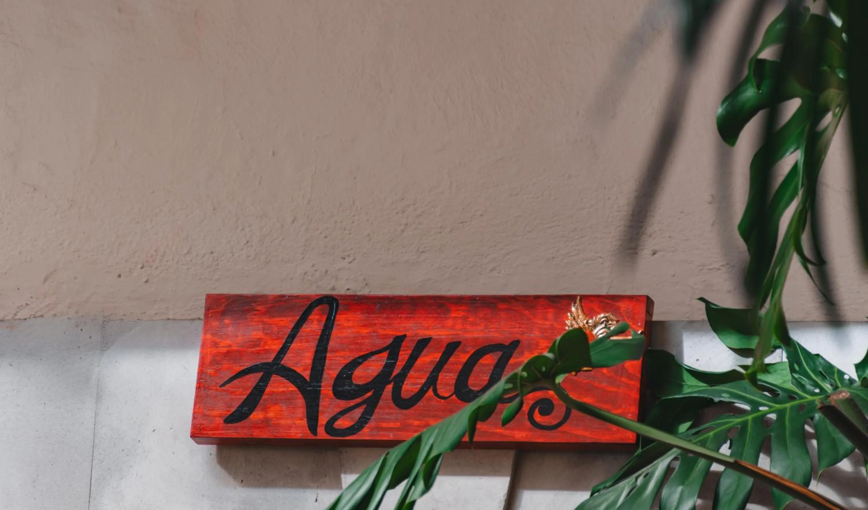 Decorative detail in Te Amo Hotel Boutique