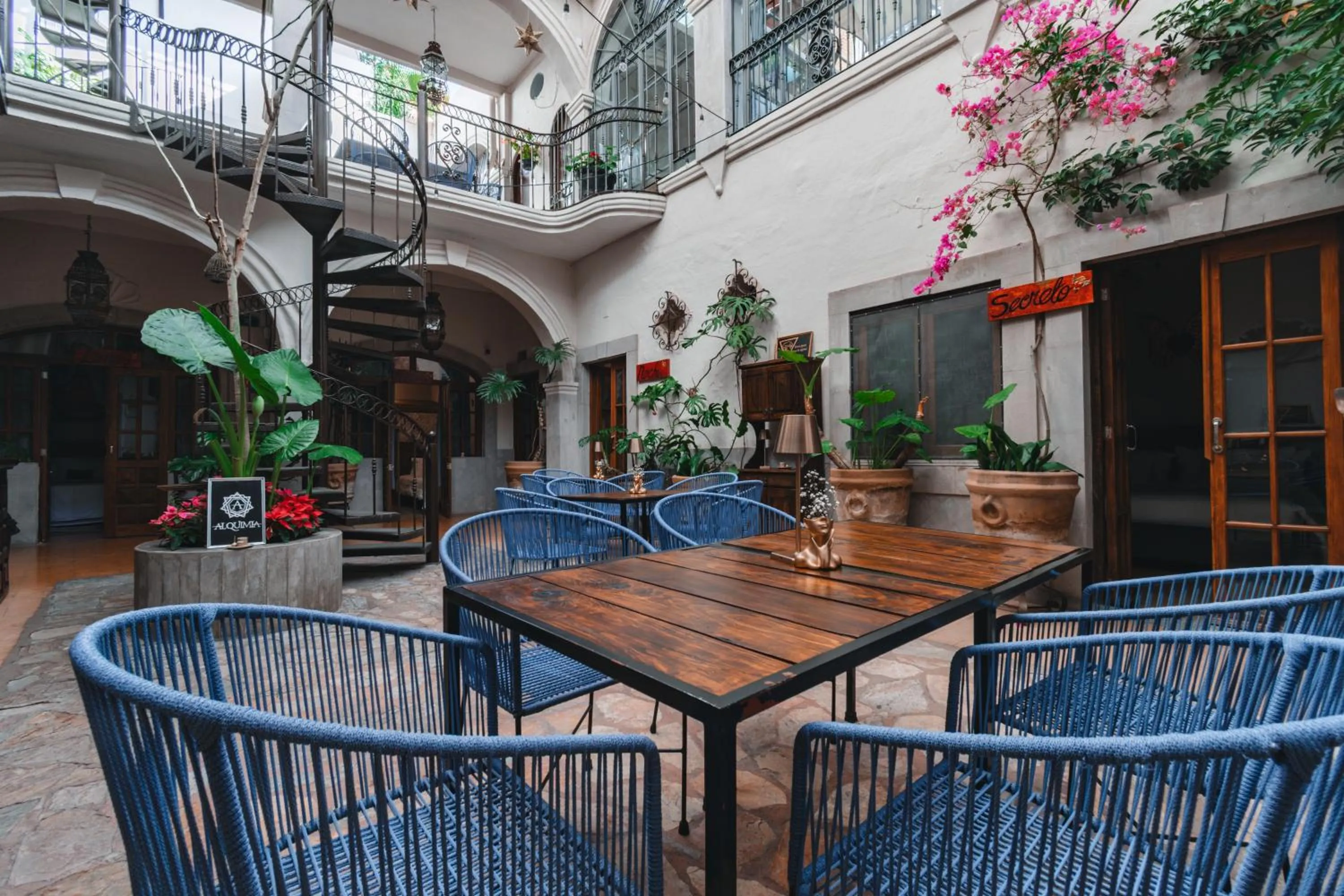 Restaurant/places to eat in Te Amo Hotel Boutique