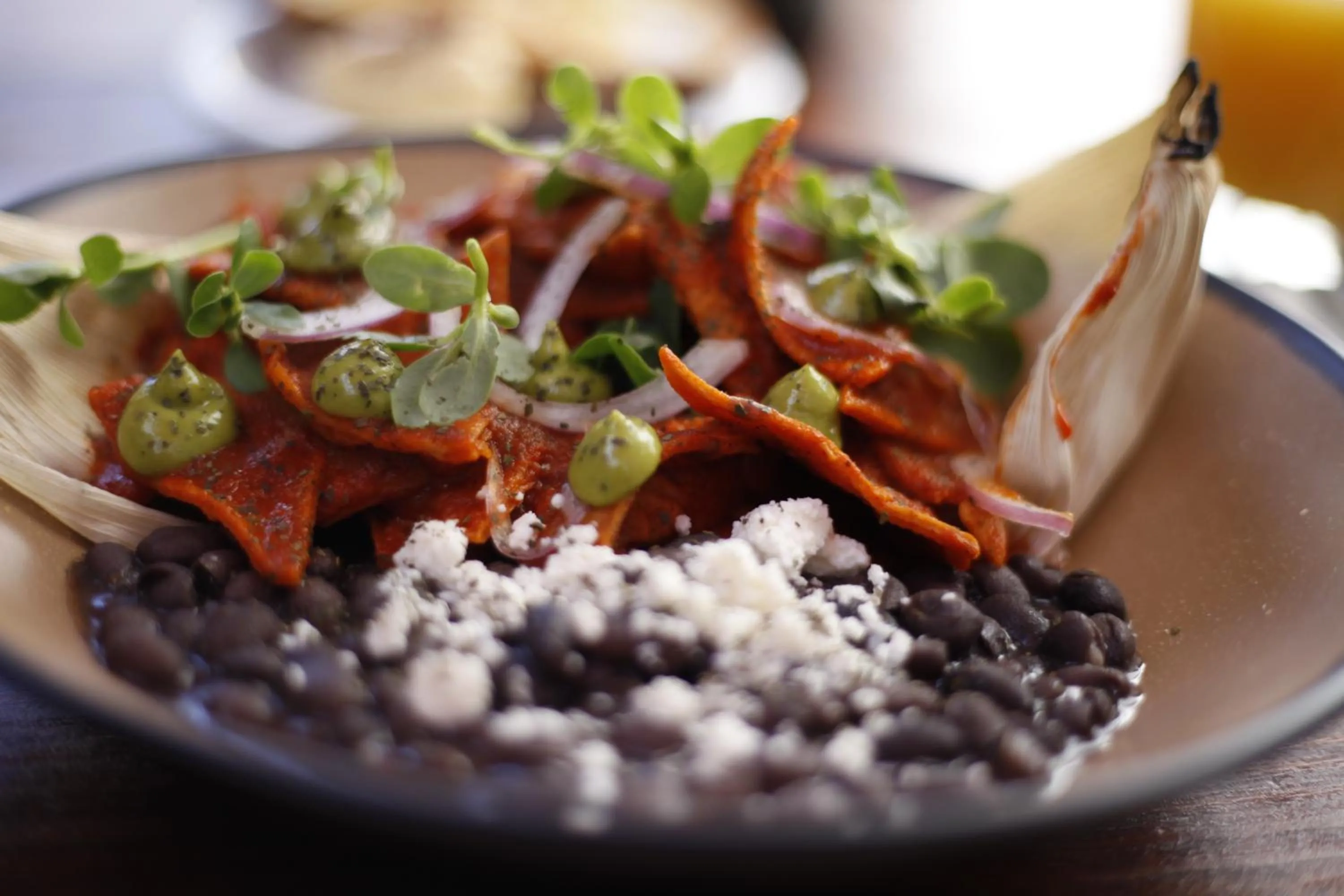 Restaurant/places to eat in Te Amo Hotel Boutique