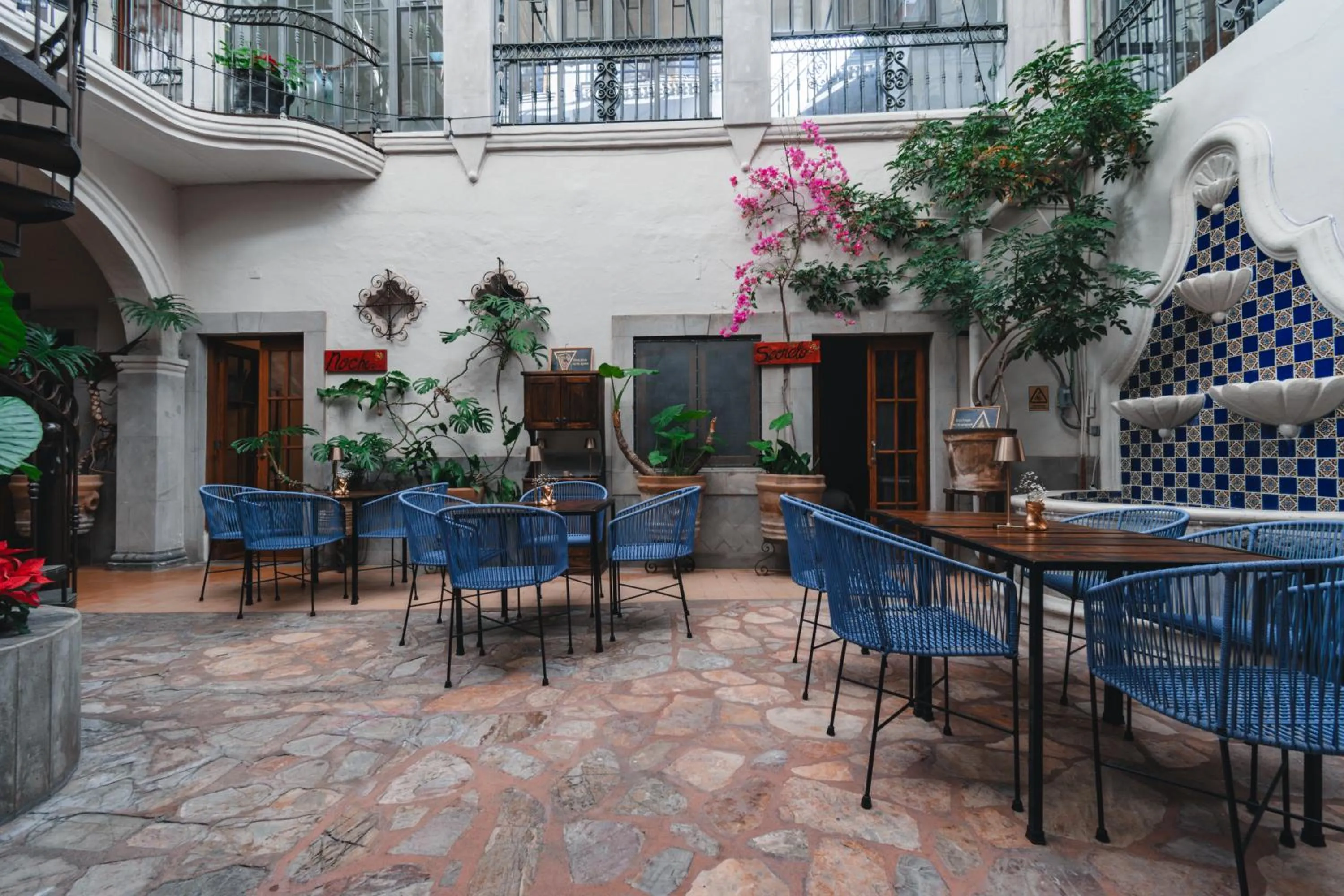 Restaurant/places to eat in Te Amo Hotel Boutique