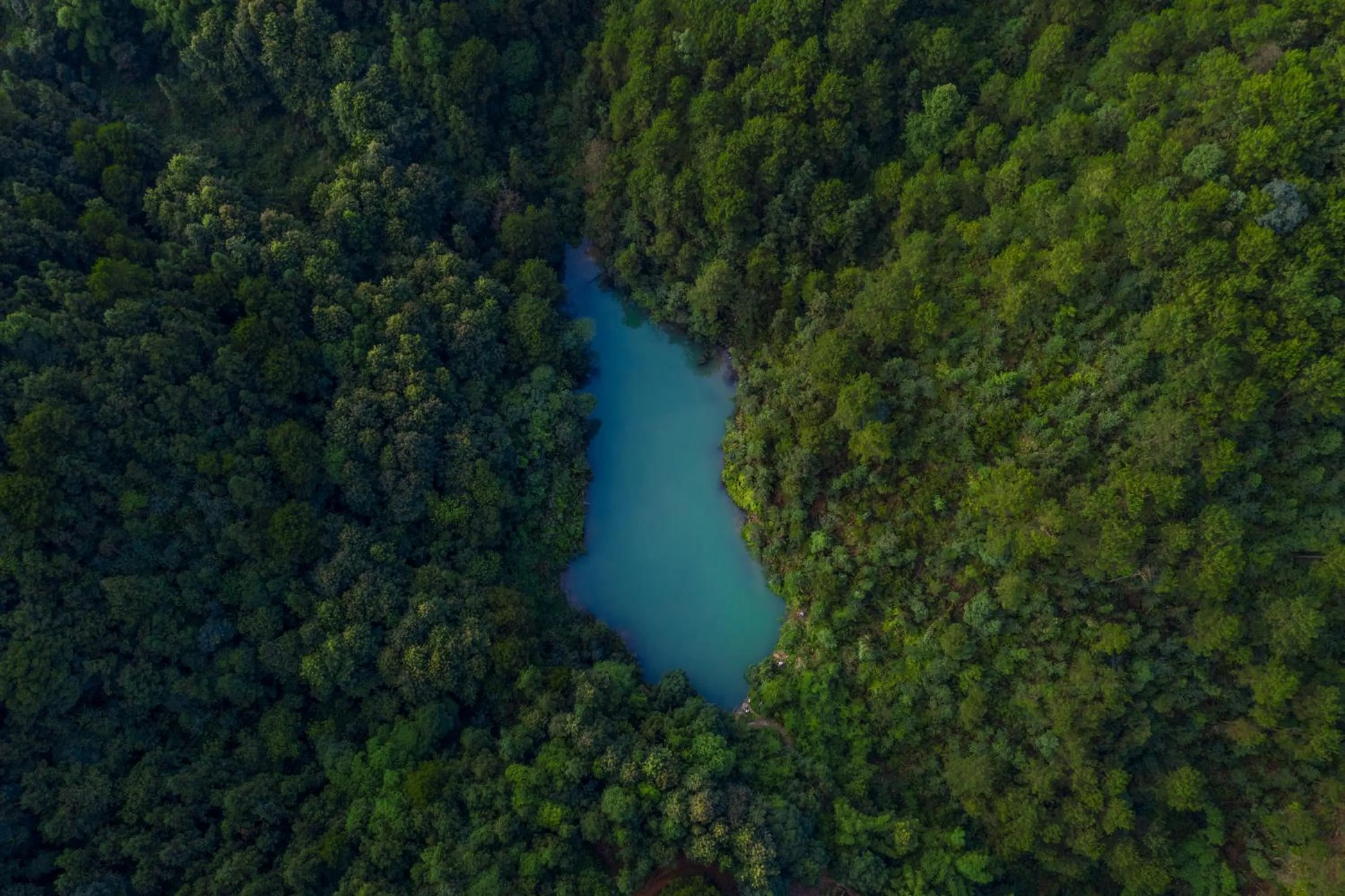 Nearby landmark in Hide and see