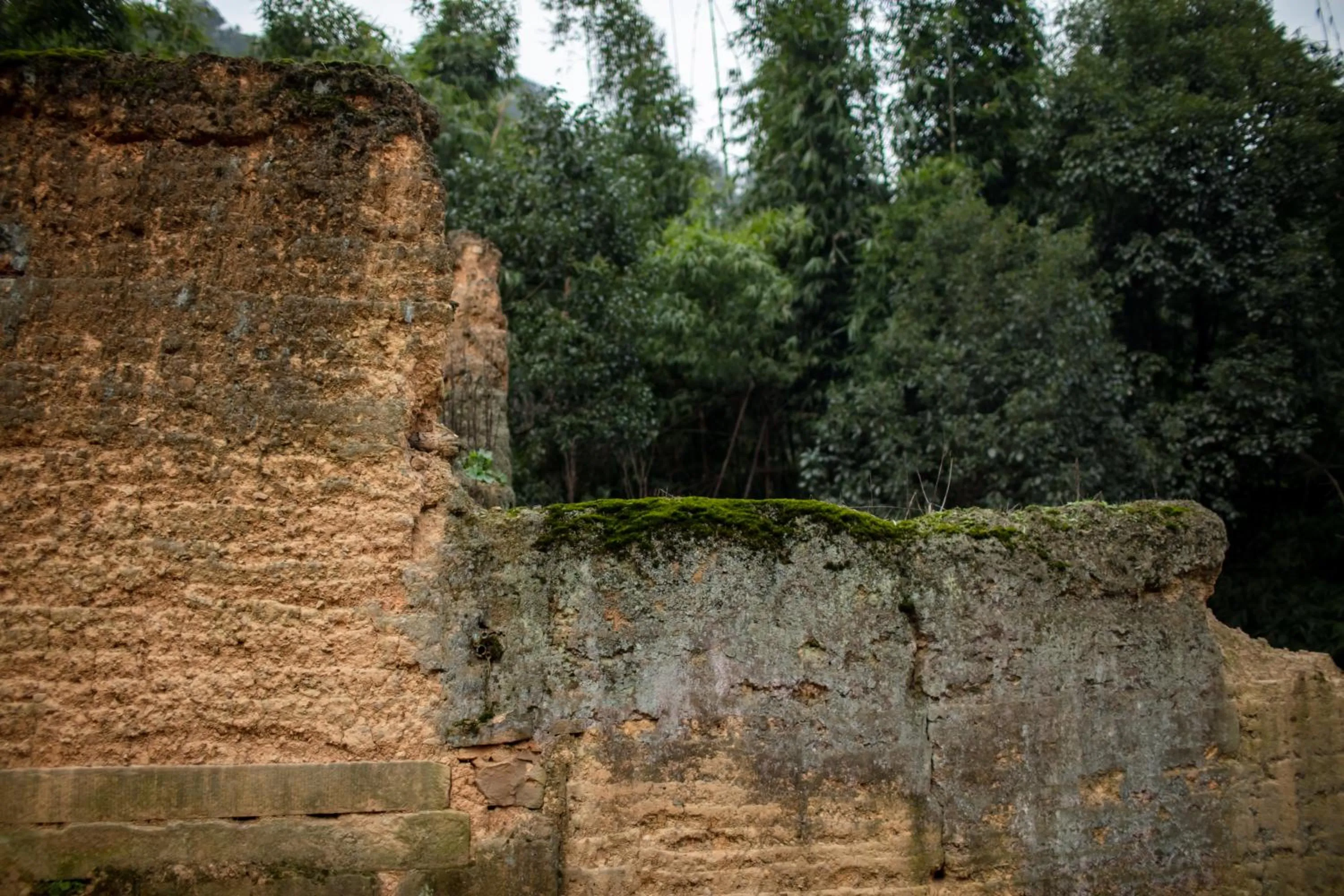 Property building in Hide and see