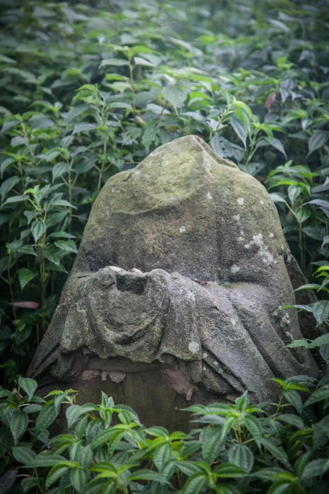 Nearby landmark in Hide and see