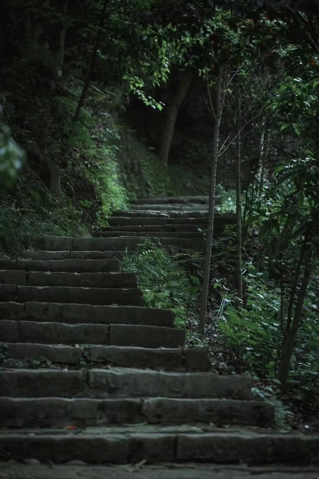 Nearby landmark in Hide and see