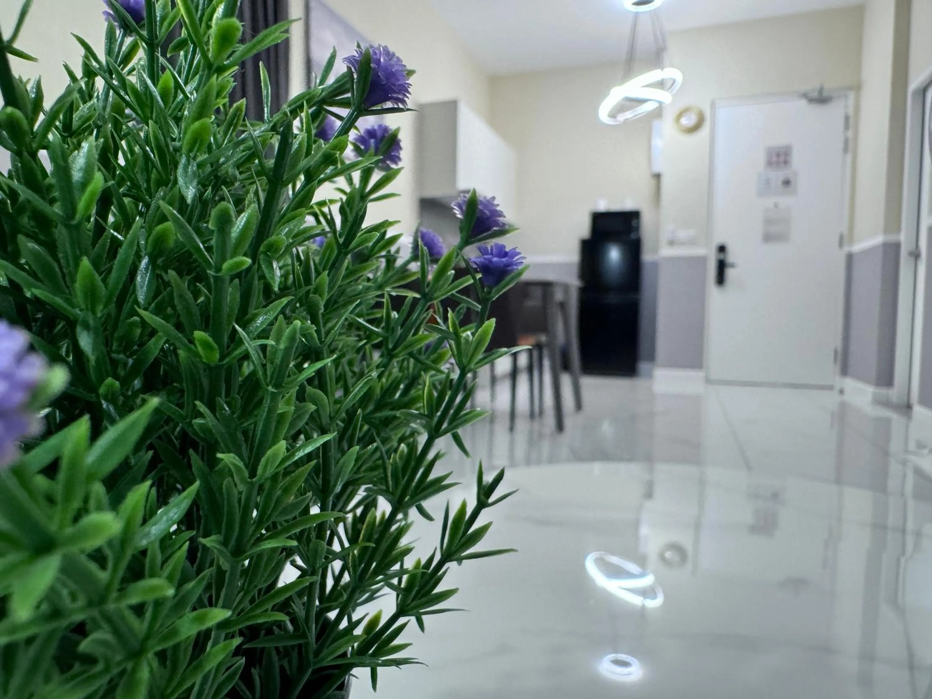 Cubic Botanical by ANCUBIC, Bangsar South, KL by HomeTaric