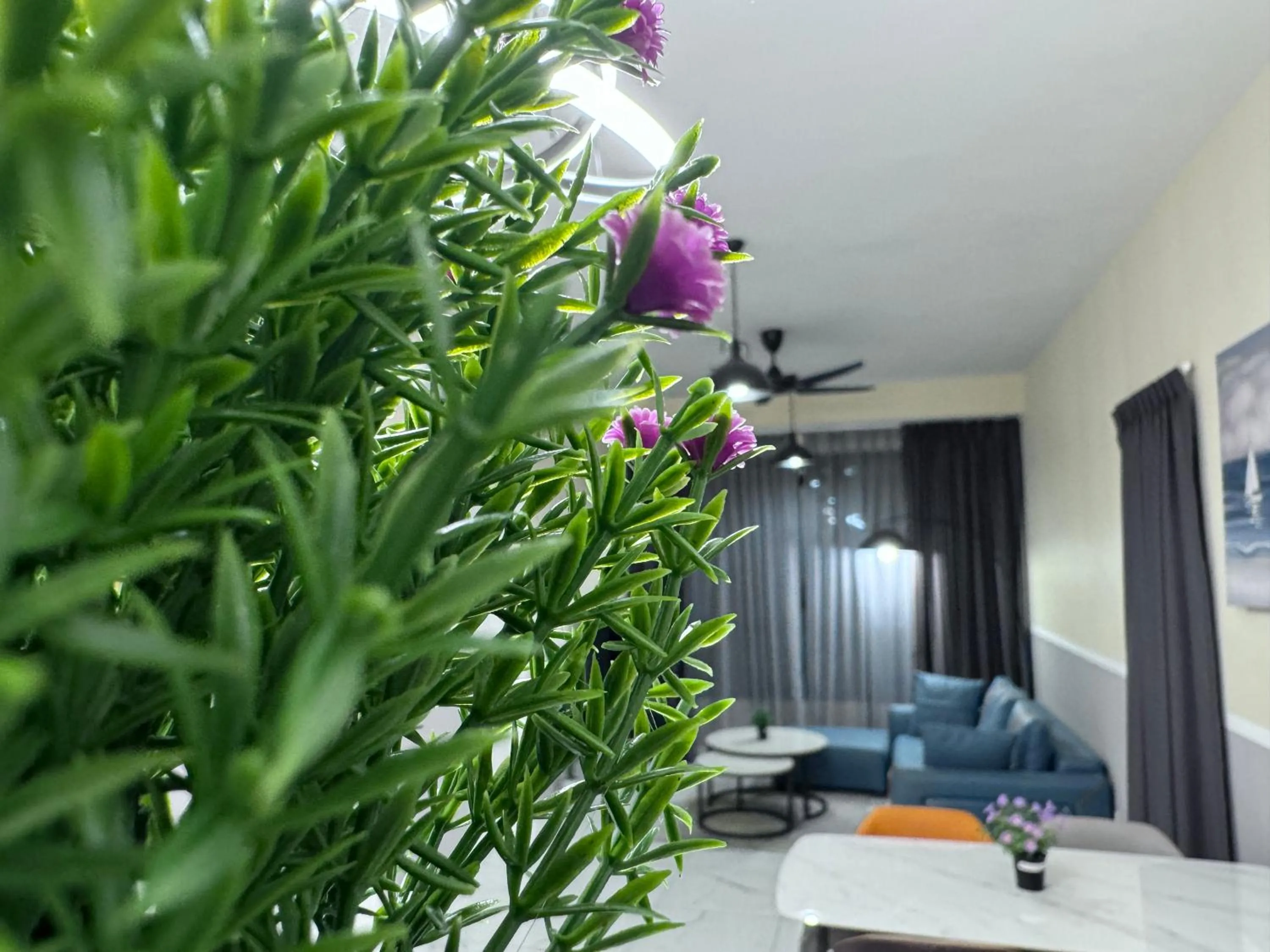 Cubic Botanical by ANCUBIC, Bangsar South, KL by HomeTaric