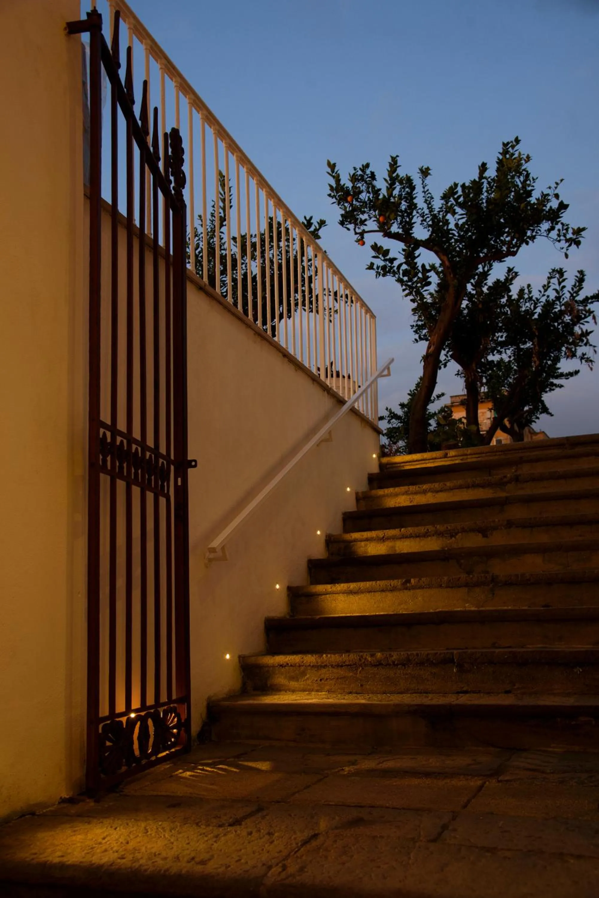 Garden in Vesuvius Palace Aparthotel